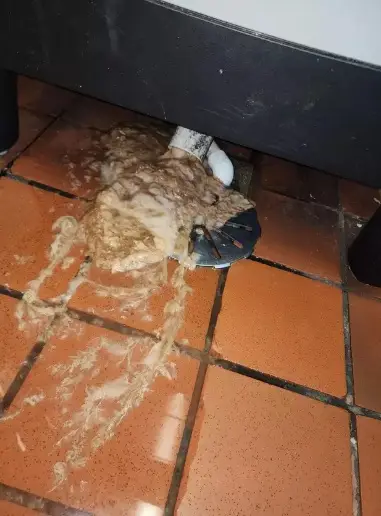 The gunk one Redditor purged from a soda machine in the US (geeisntthree/Reddit)