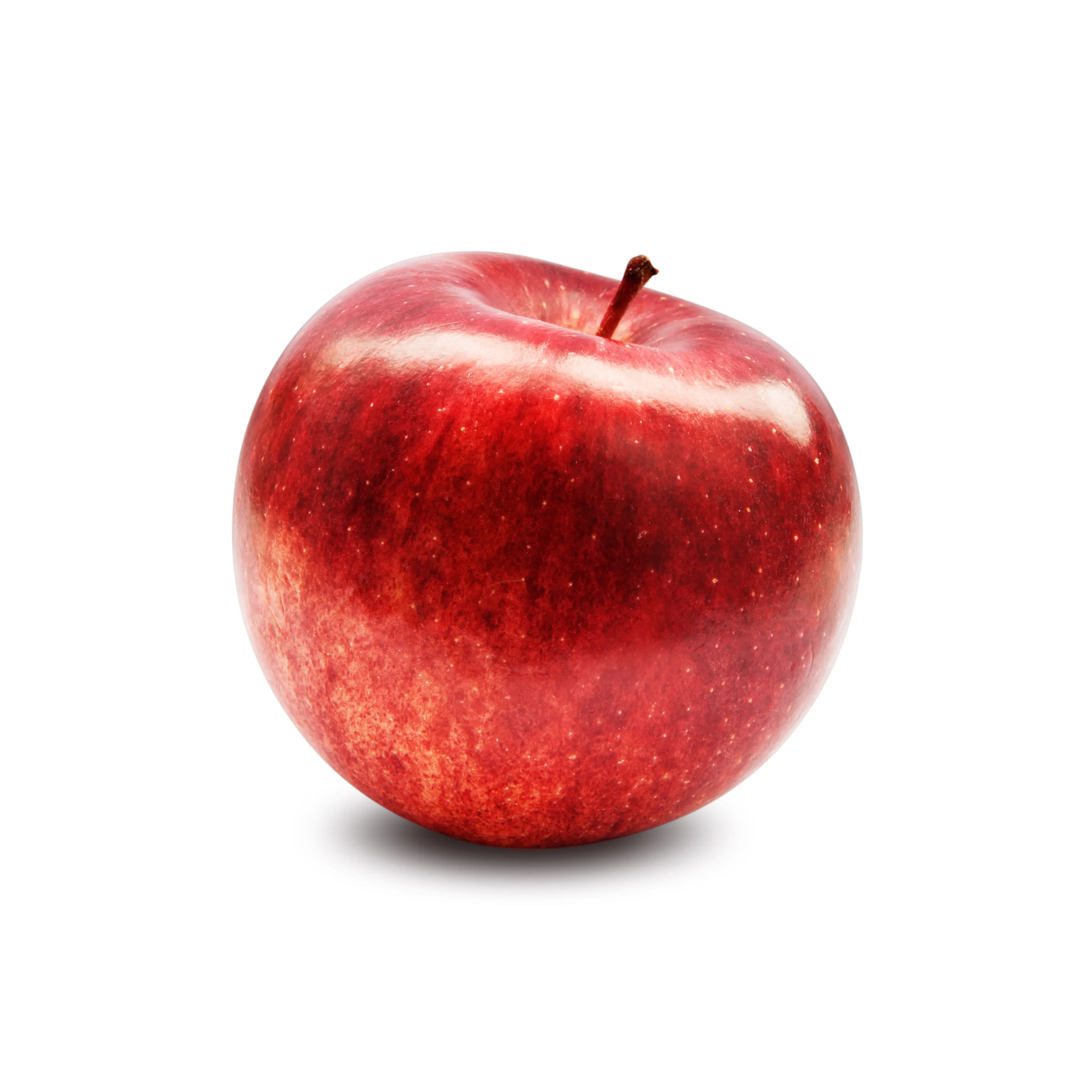 Like Eve and Snow White before her, Dina almost got undone by an apple (SEAN GLADWELL/Getty Images)