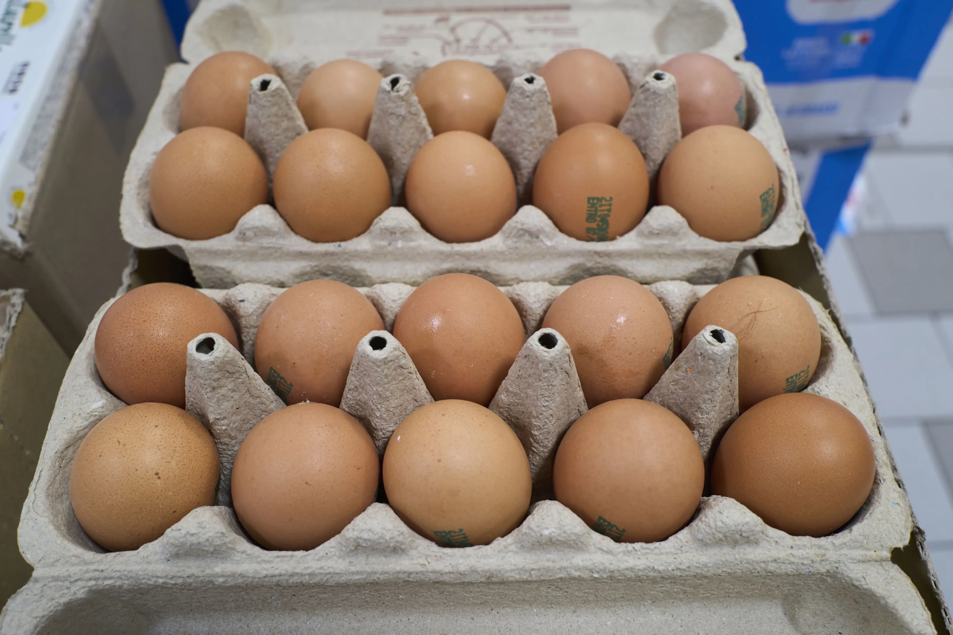 Sainsbury's is transitioning from brown eggs to white (Matteo Della Torre/NurPhoto via Getty Images)