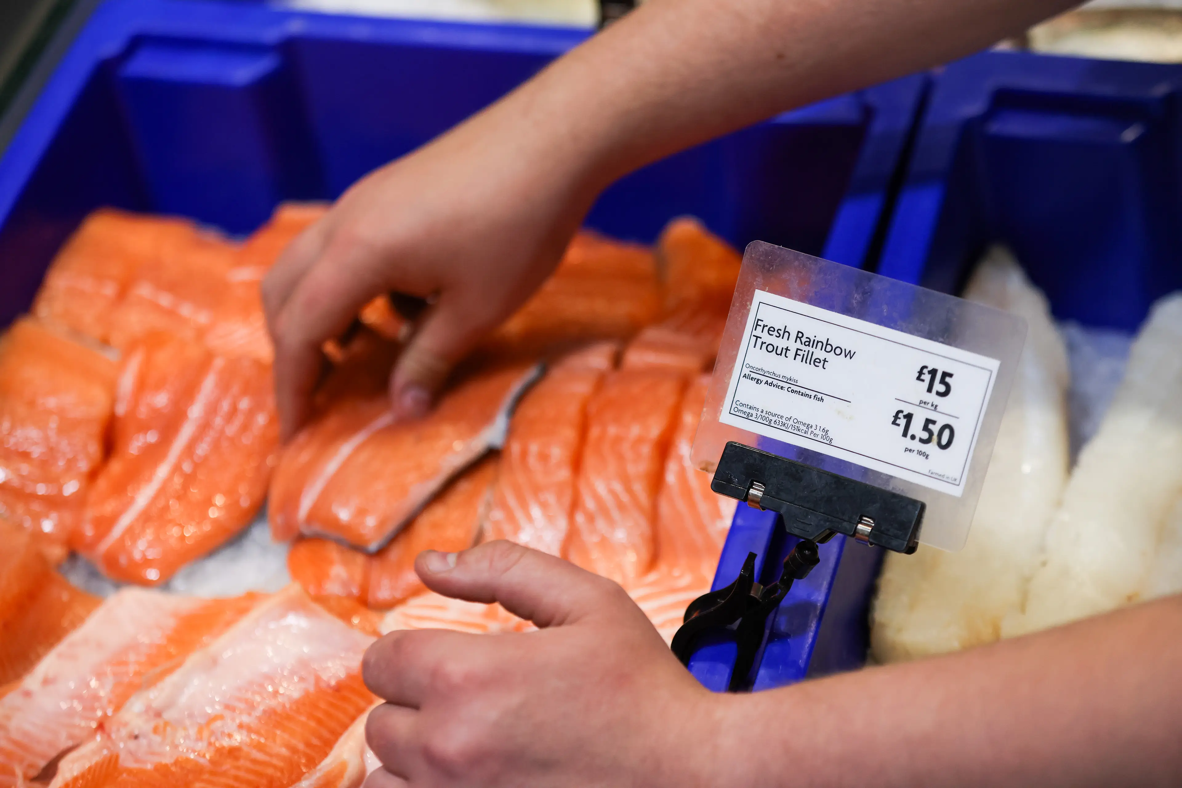 Experts have said you should confirm with fishmongers and takeaway owners on fish types (Chris Ratcliffe/Bloomberg via Getty Images)