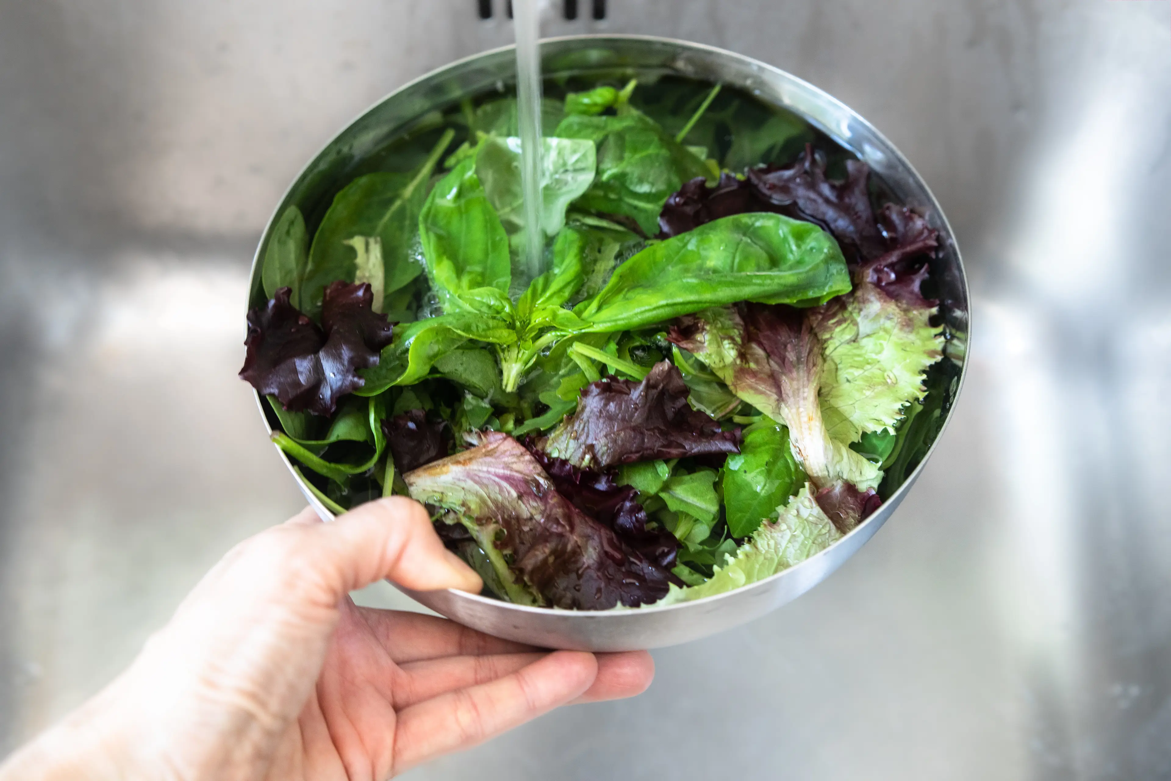 Fresh produce, including lettuce and other leafy greans, may be carriers for the parasite (Getty Stock Image)