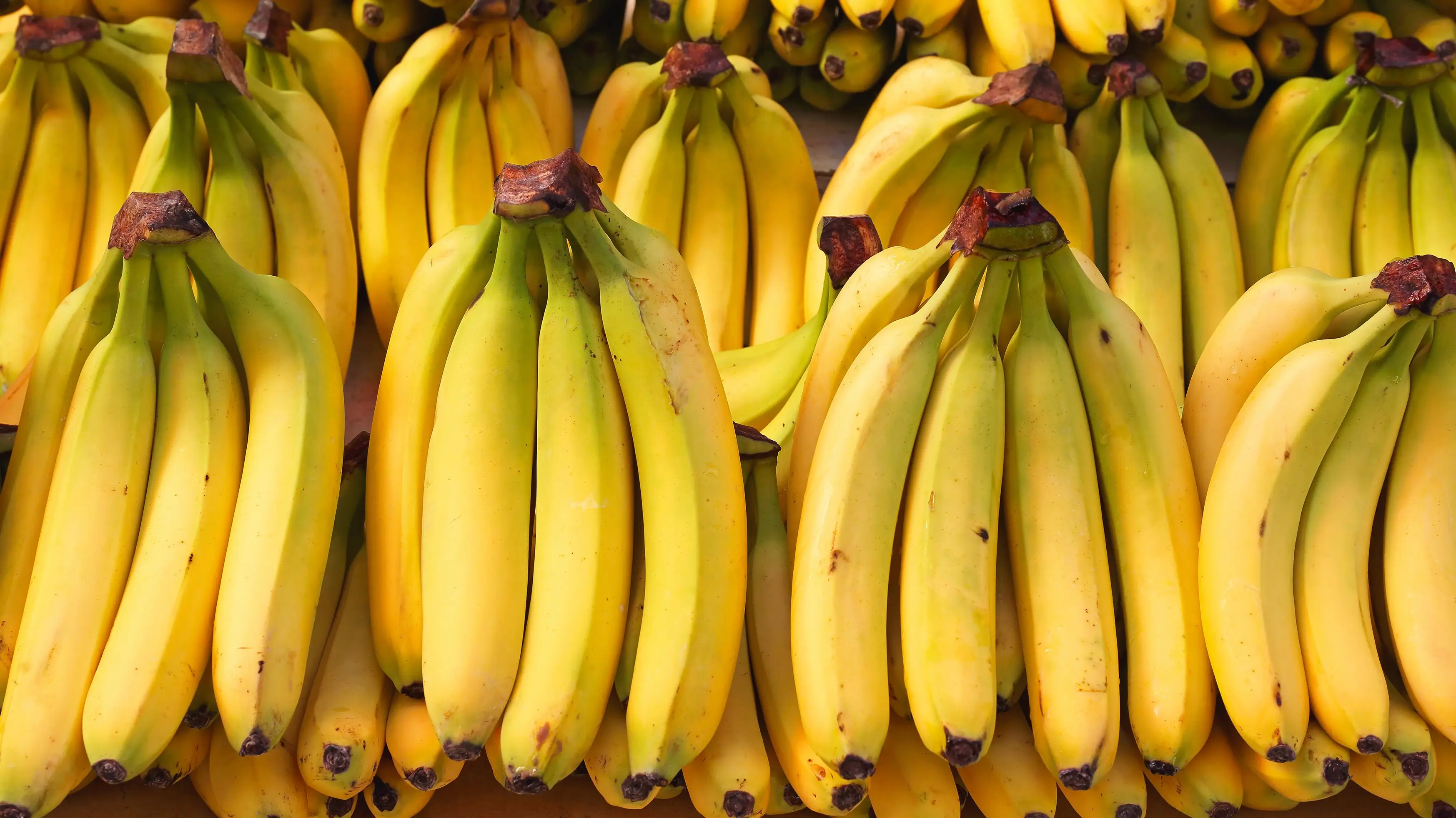 People now terrified to eat bananas after seeing what was inside one