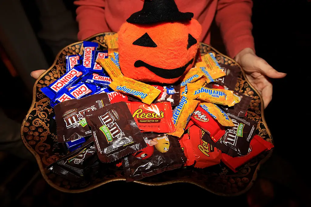 Ripa proves even Halloween candy can stir up unexpected neighbourhood drama (Barry Chin/The Boston Globe via Getty Images)