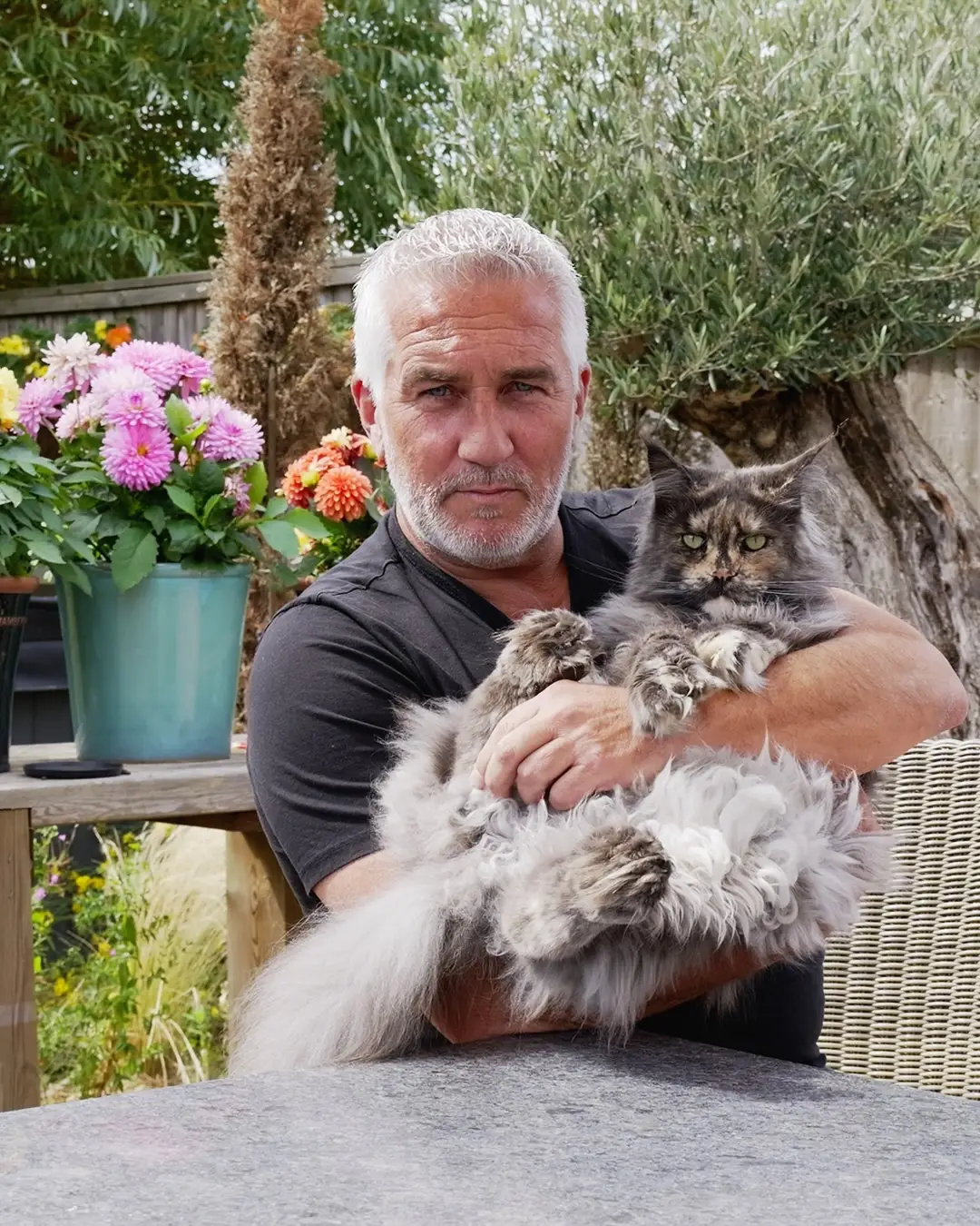 Hollywood is a Big Cat Sanctuary ambassador and has a handful of cats at home (Instagram/@paul.hollywood)