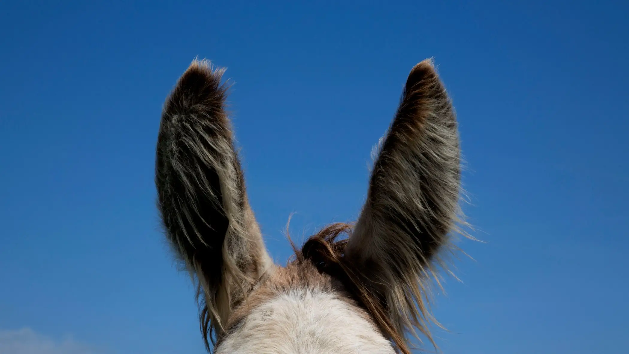 Jonathan Kirn/Getty Images