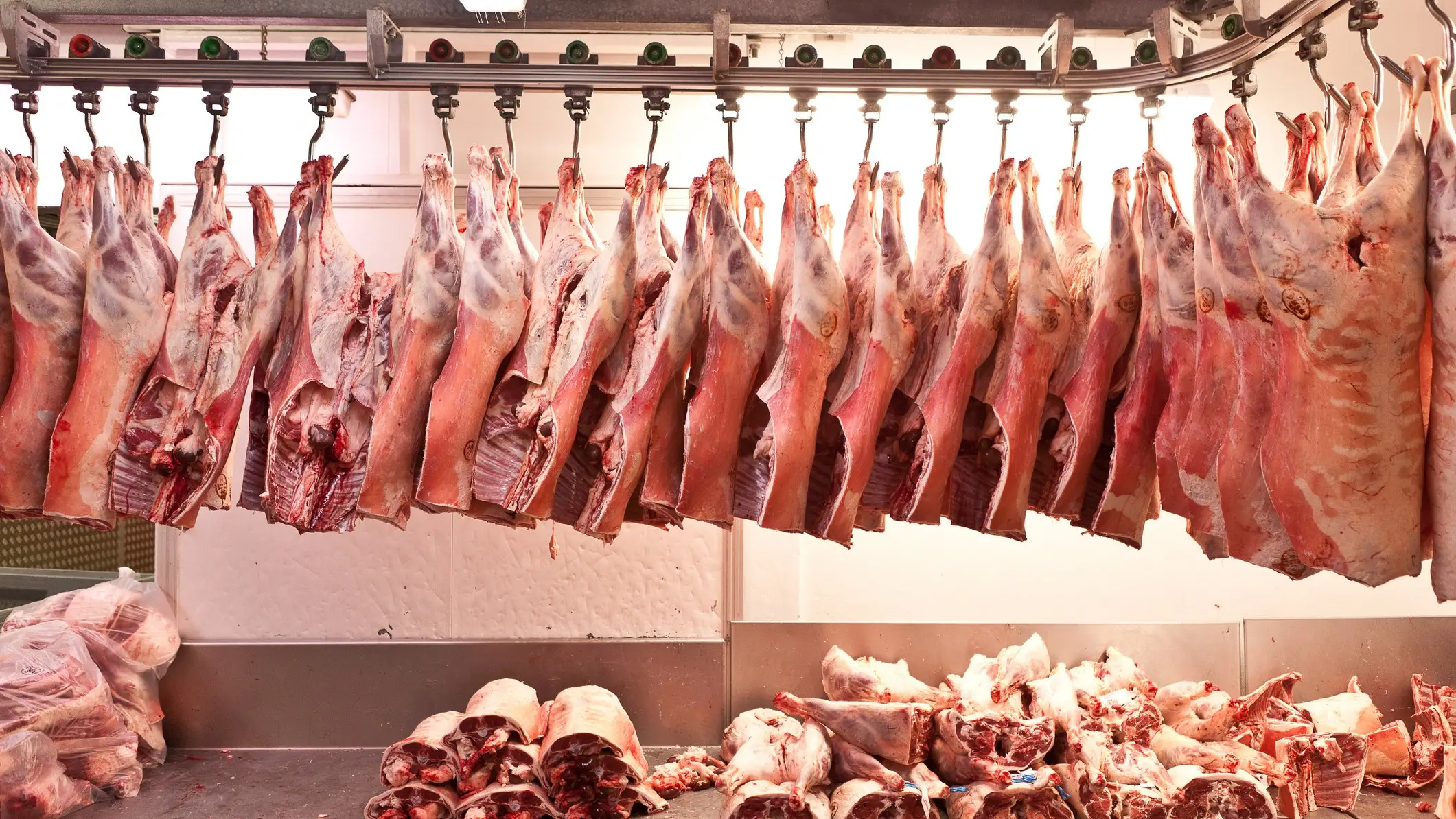 Stuart Conway/Getty Images