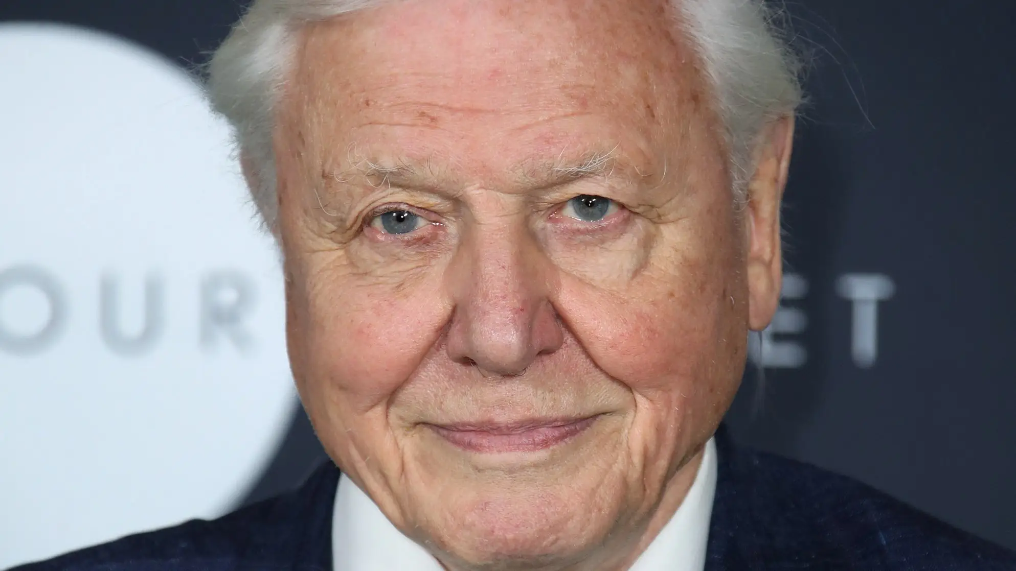 Mike Marsland/Mike Marsland/WireImage/Getty Images