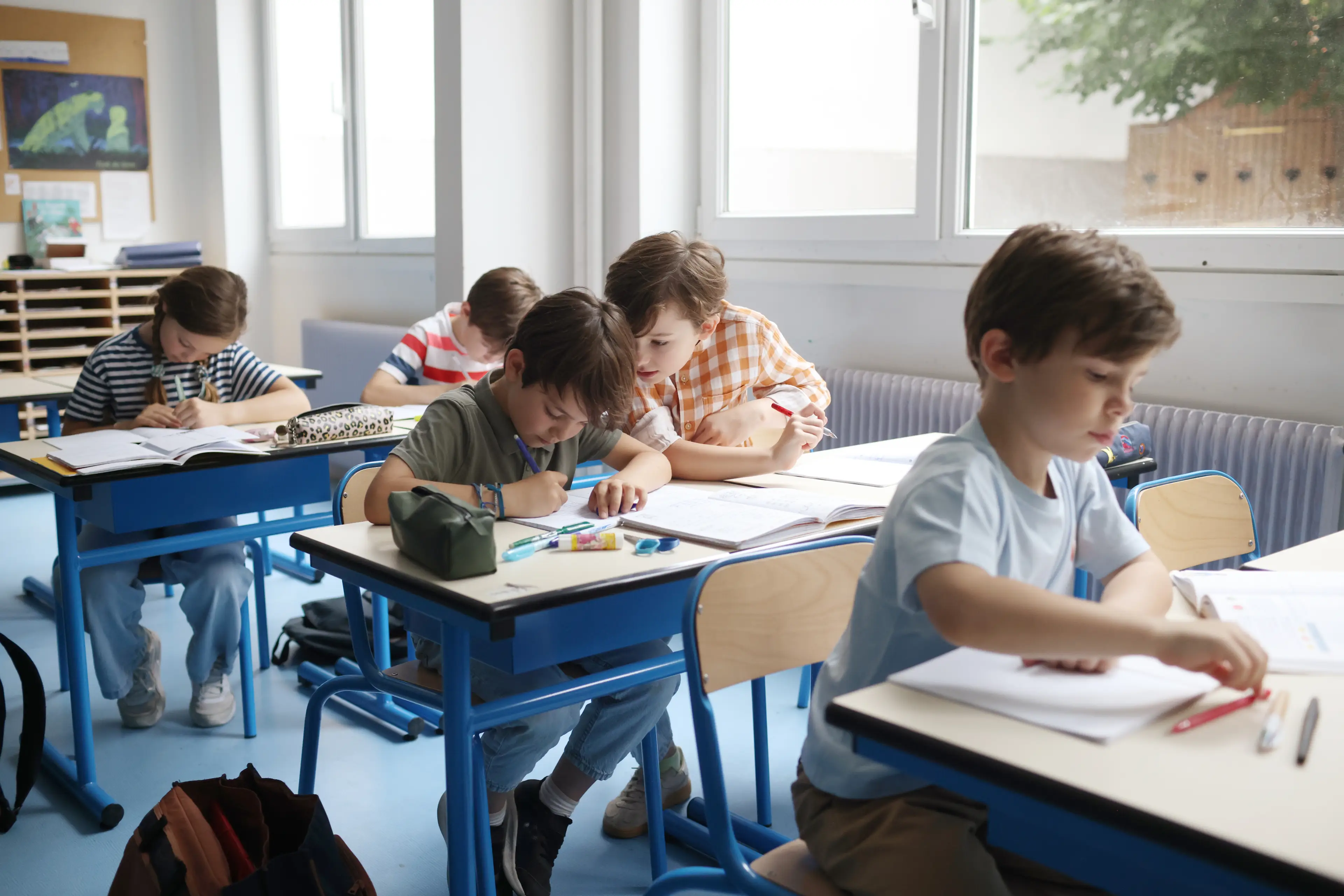 Use of the fish in school lunches has been suspended in parts of France (Catherine Delahaye/Getty Images)
