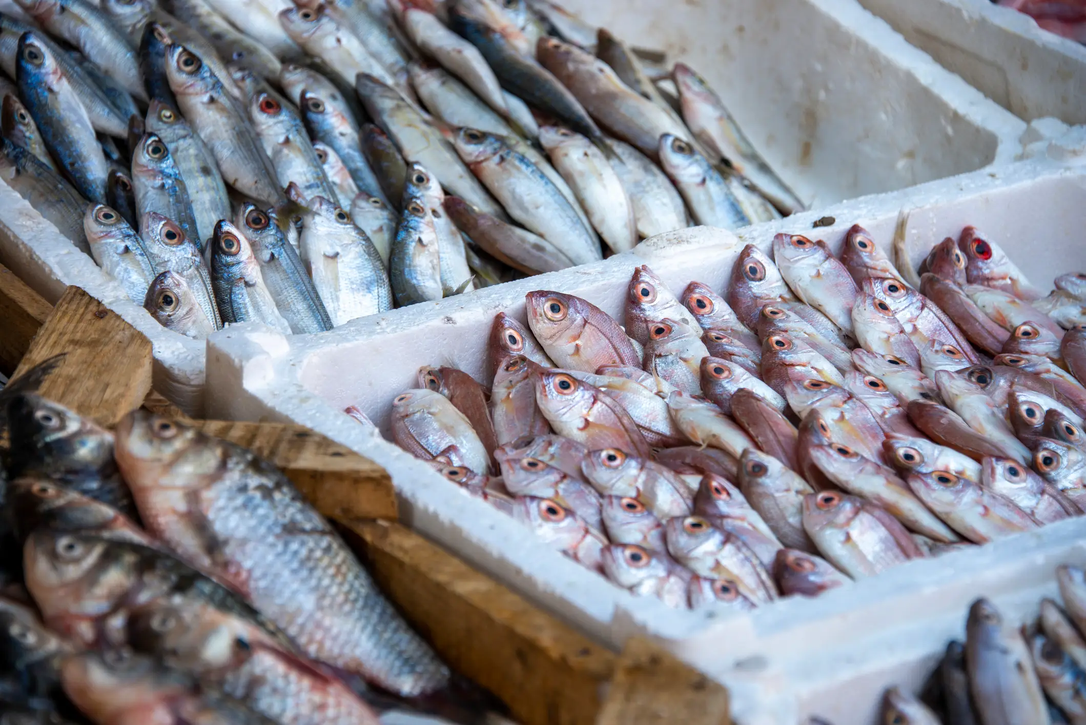 Ever notice how you can almost smell some images? (Paul Biris/Getty Images)