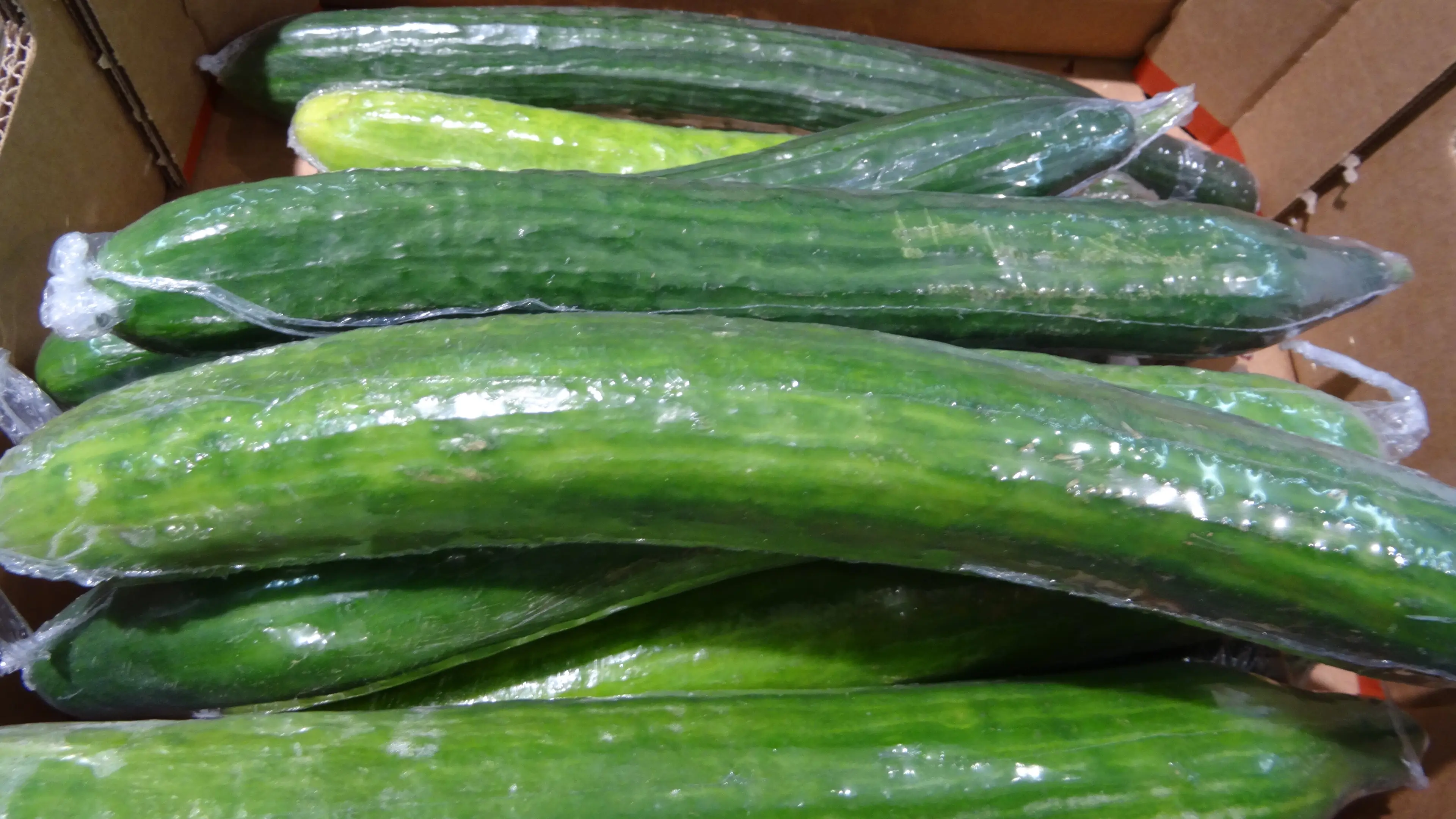 mtreasure/Getty Images