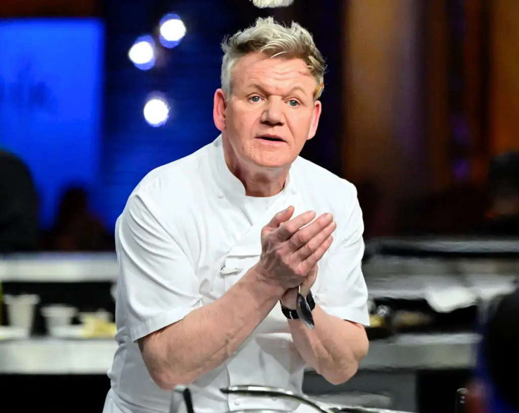 Gordon Ramsay is known for his brutal honesty and excellent culinary skills (FOX via Getty Images)