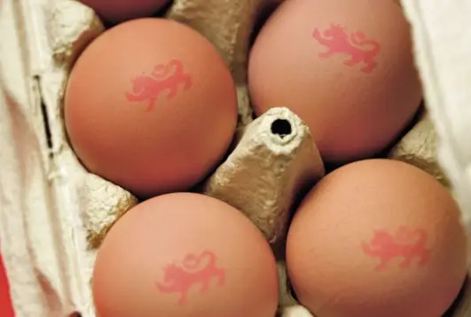 Look for the British Lion mark on your eggs (British Lion eggs)