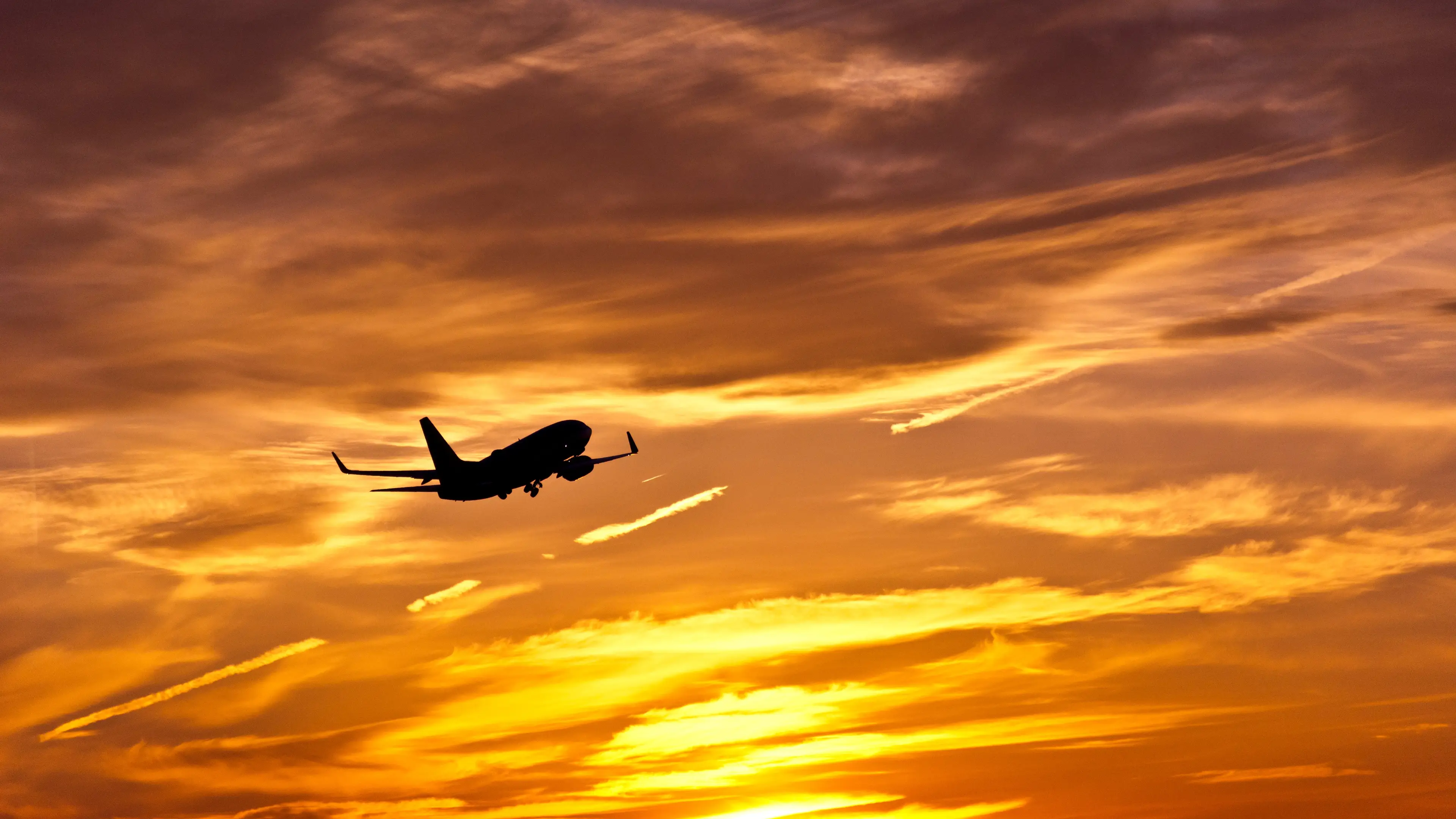Steve Proehl/Getty Images