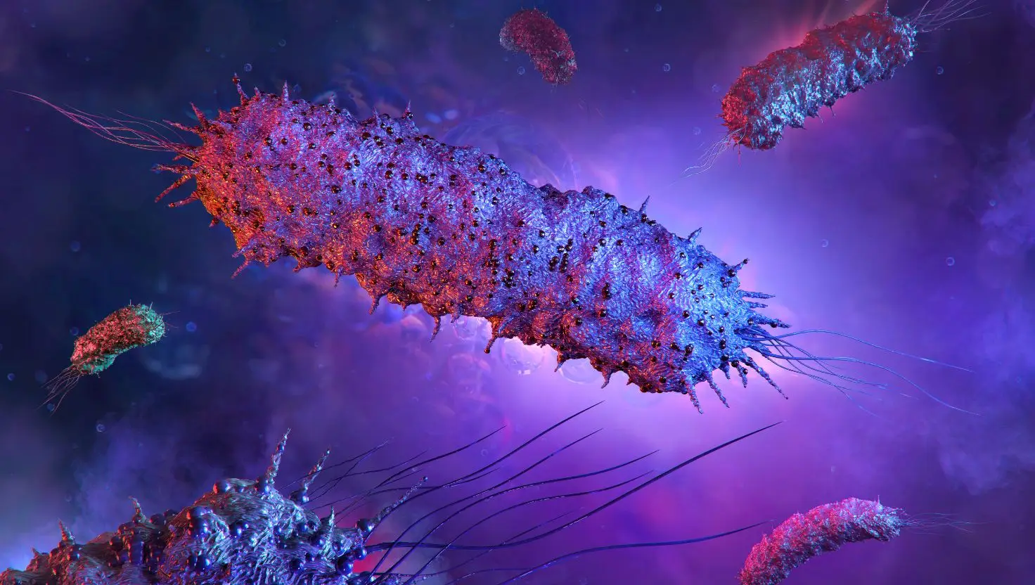 The Salmonella outbreak has infected 11 people, with three being hospitalised, according to reports (Getty Stock Image)