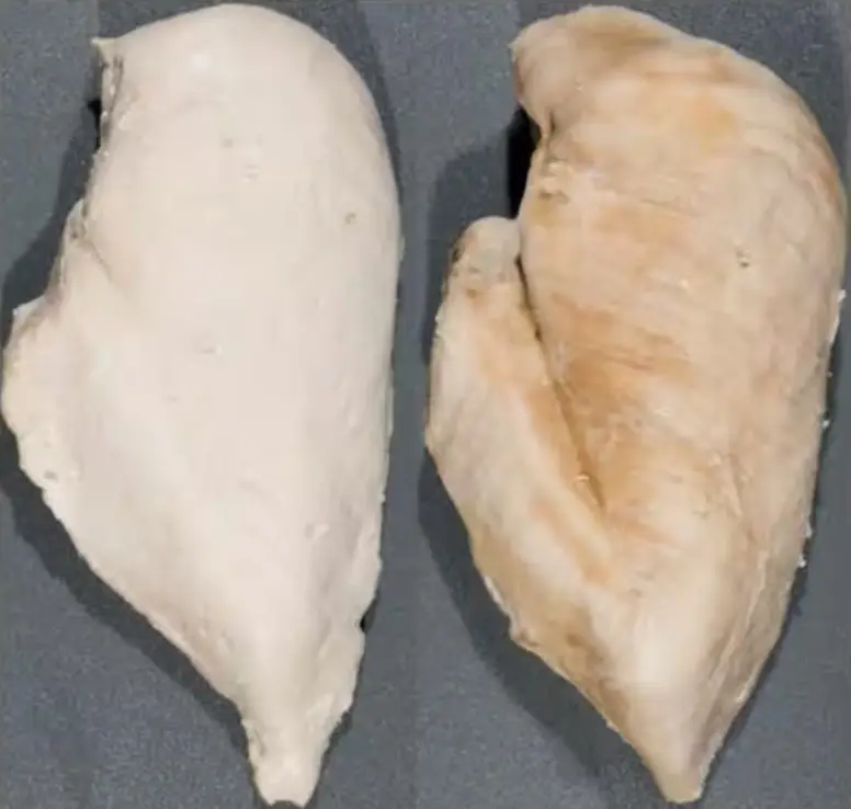 When cooked, the right breast's imperfections are even clearer (USDA ARS)
