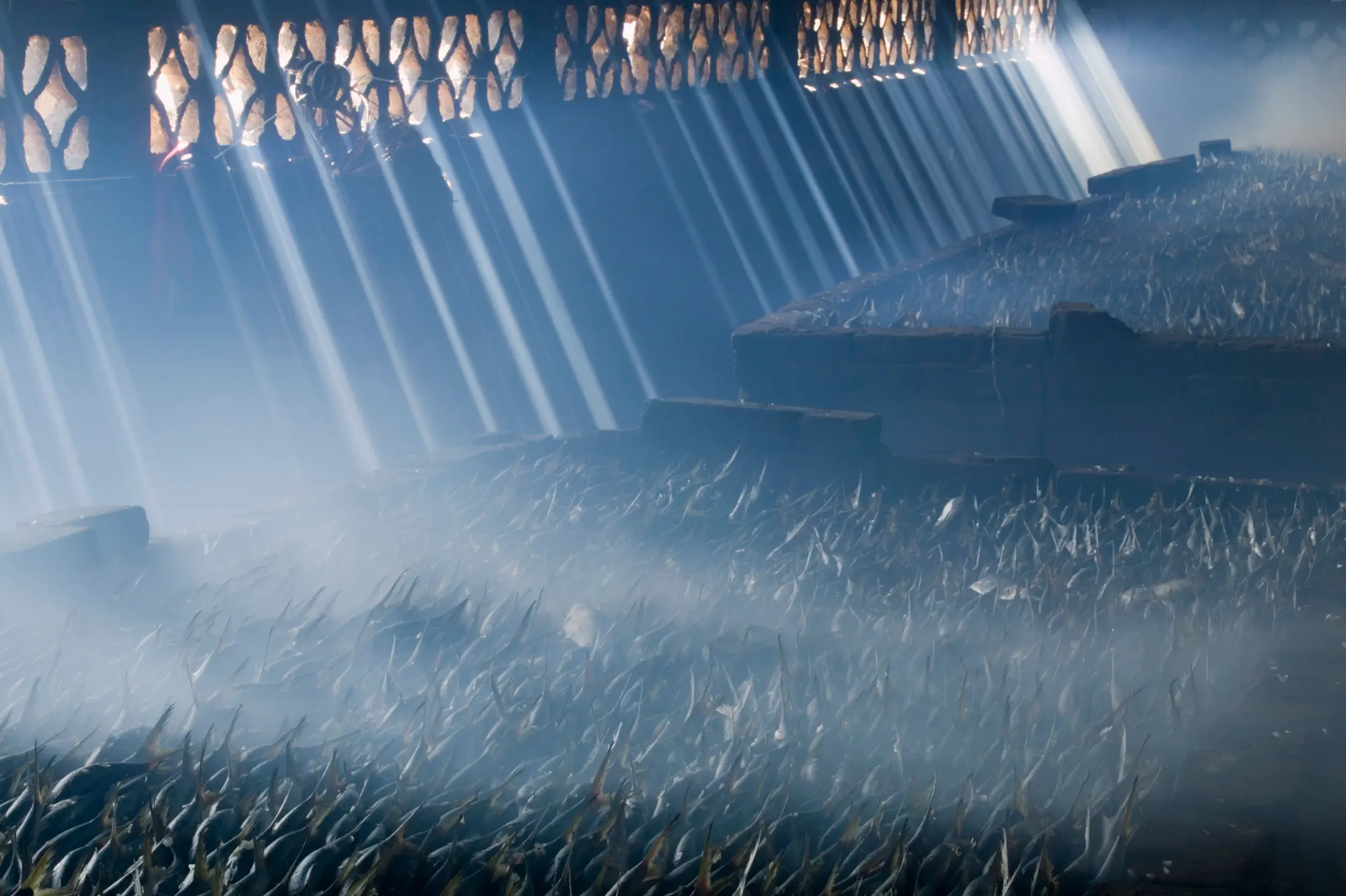 Temperatures in the smokehouse could rise as high as 90 degrees centigrade (Jon Hicks/Getty Images)