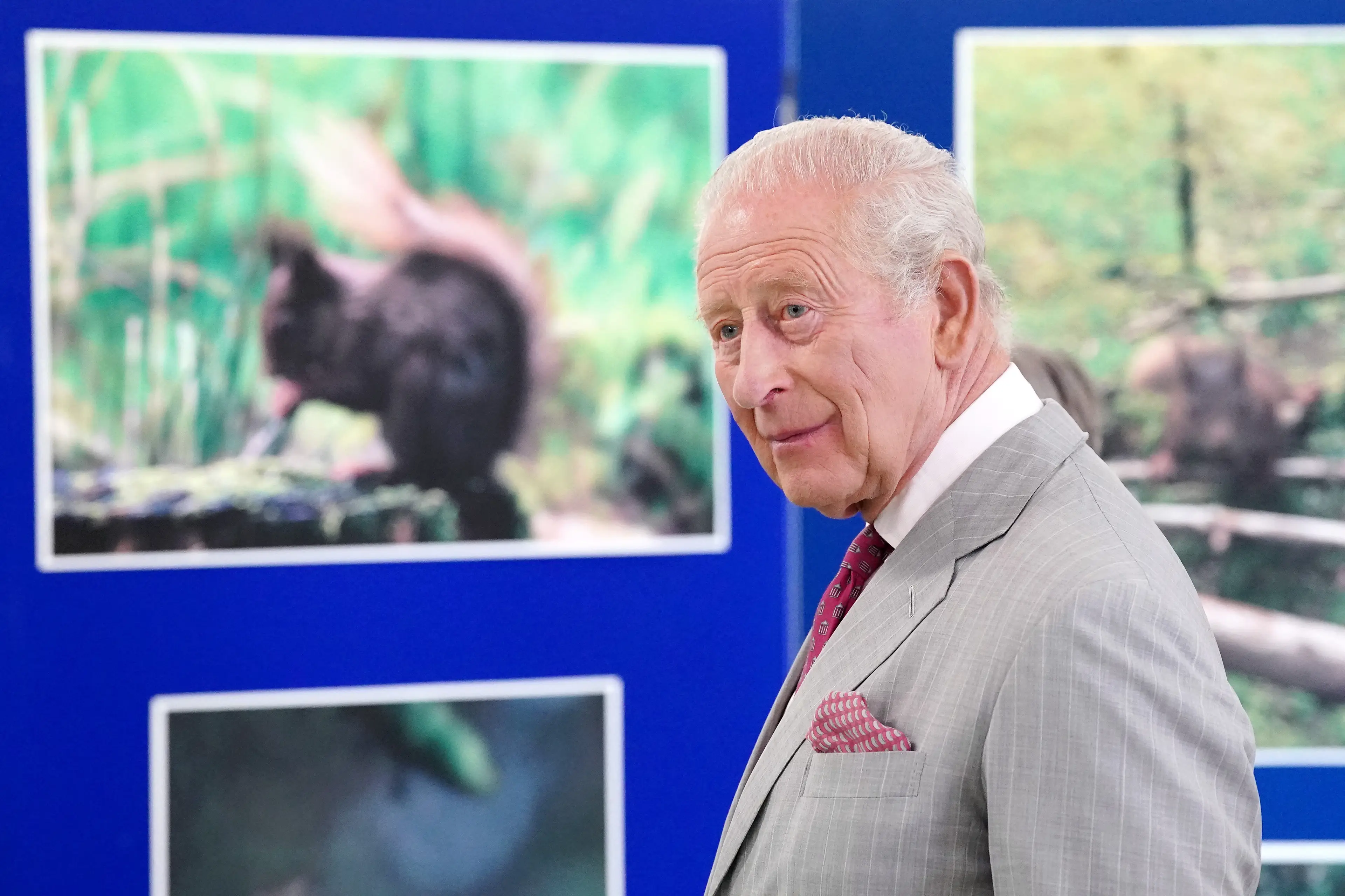 Charles apparently does not like food waste or chocolate (Dominic Lipinski / POOL / AFP via Getty Images)