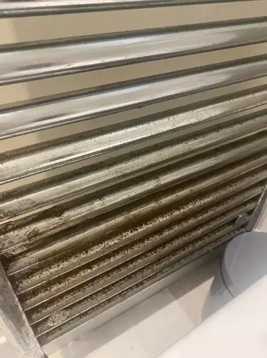 A rusty radiator pre-ketchup (Family Lowdown Tips & Ideas/Facebook)