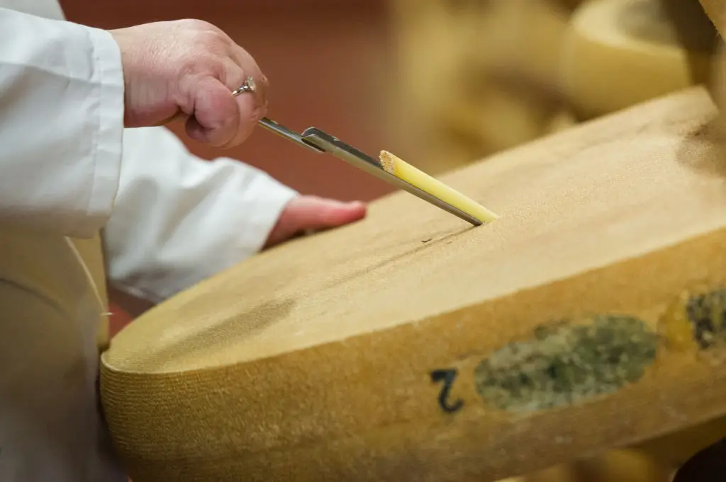 Many types of French cheese fall under strict rules for their production (Photo by SEBASTIEN BOZON/AFP via Getty Images)