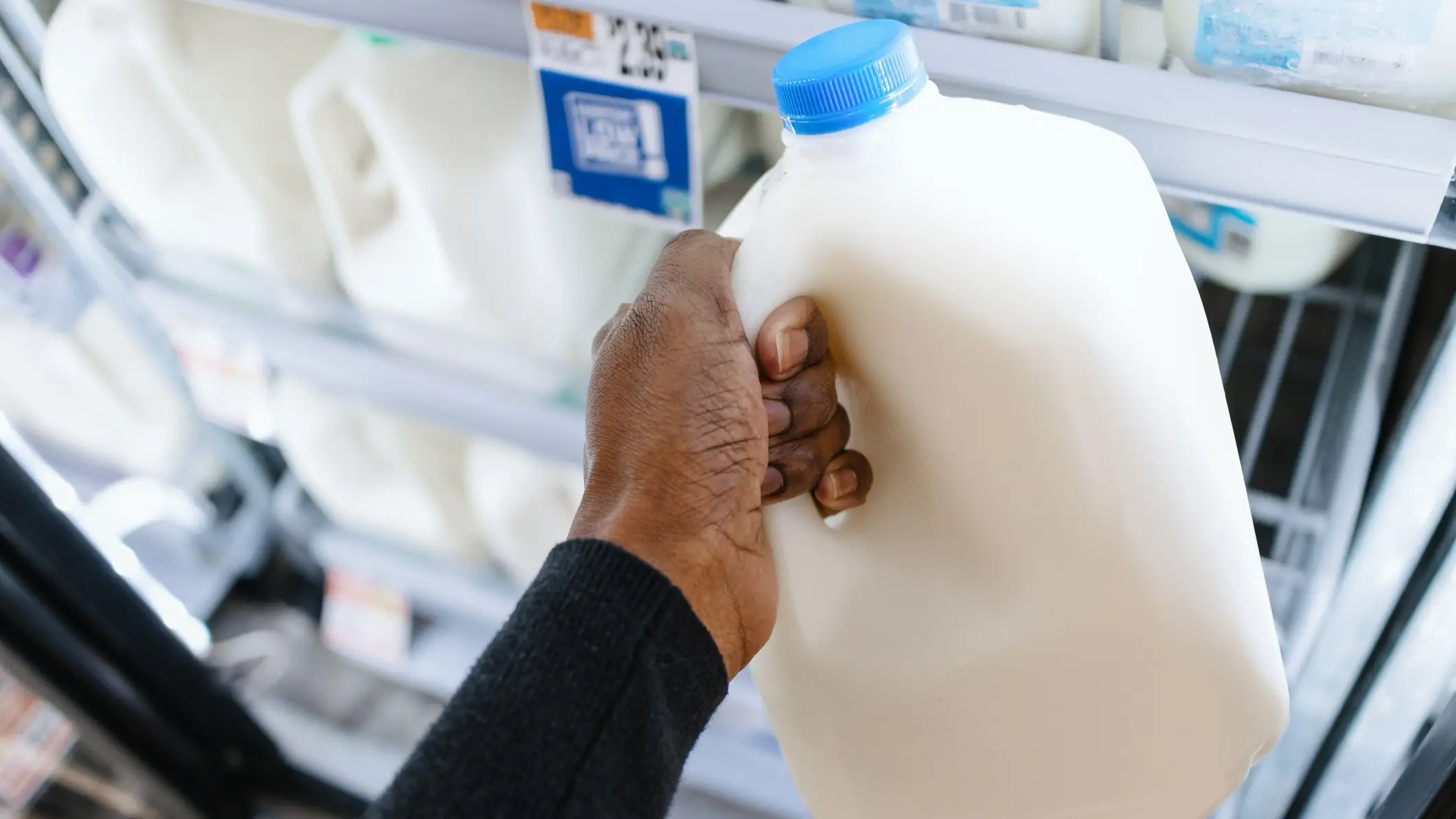 Grace Cary/Getty Images