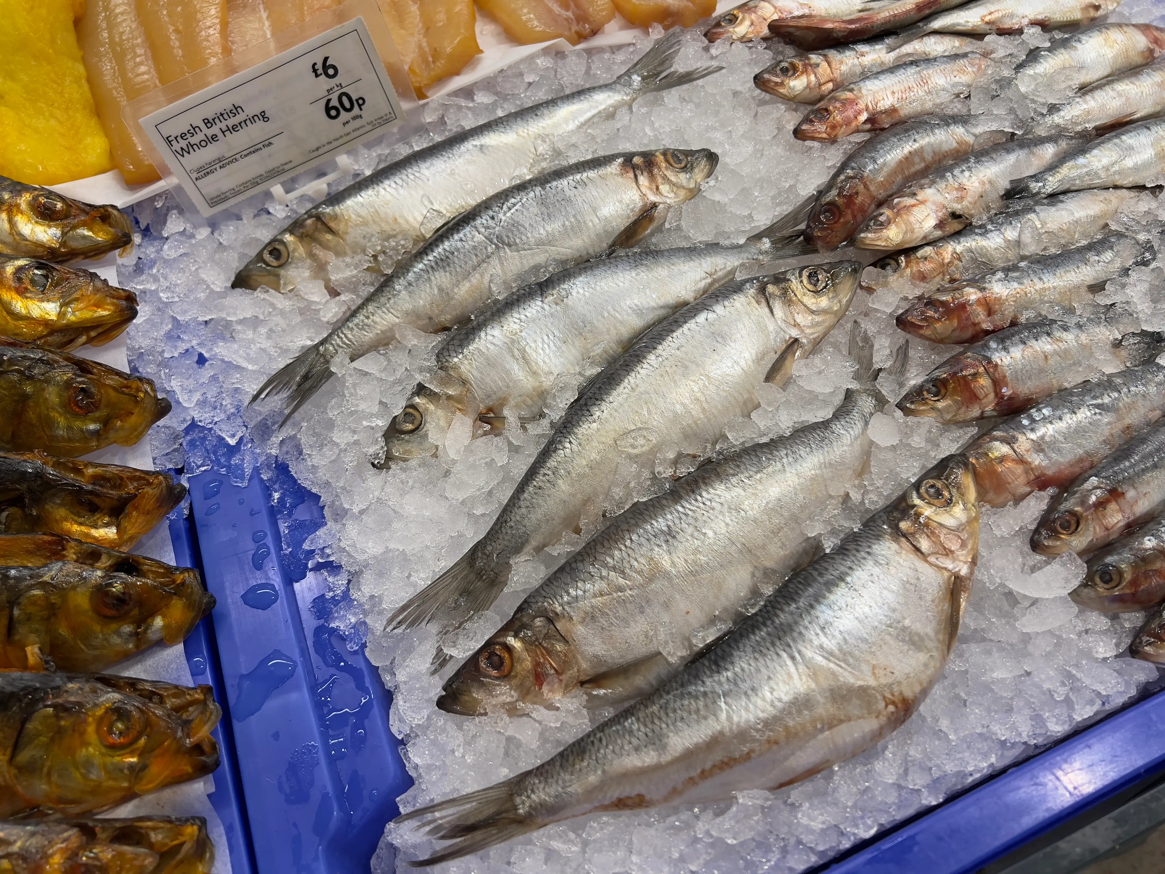 Herring could be a great alternative to mackerel (Getty Stock Image)