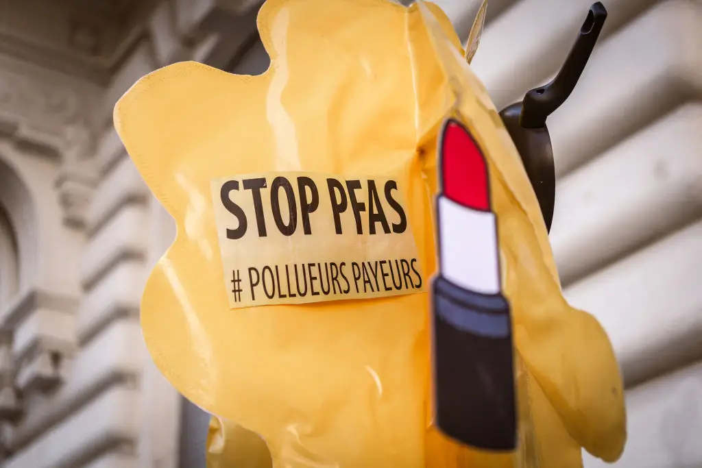 Protestors have been campaigning against the use of PFAS for year (ELSA BIYICK / Contributor/Getty)