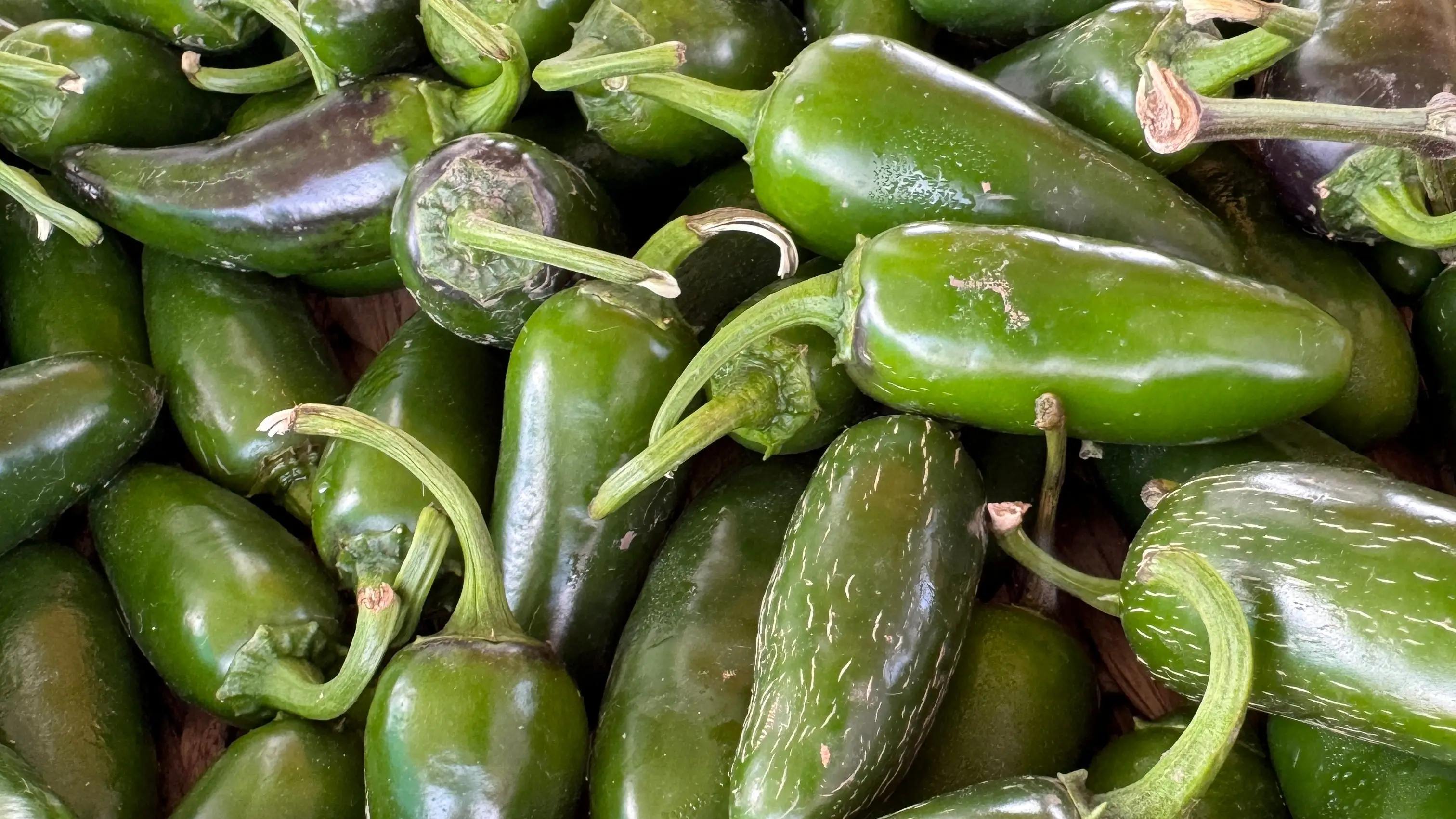 Jalapenos urgently recalled amid salmonella outbreak following illnesses linked to 'explosive diarrhoea' parasite
