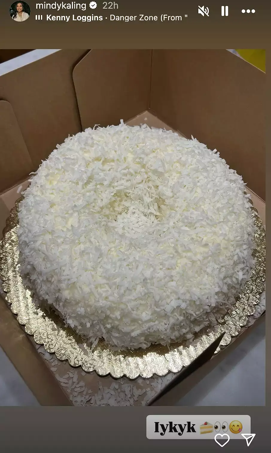 Mindy Kaling posted about her cake on social media (Instagram/mindykaling)