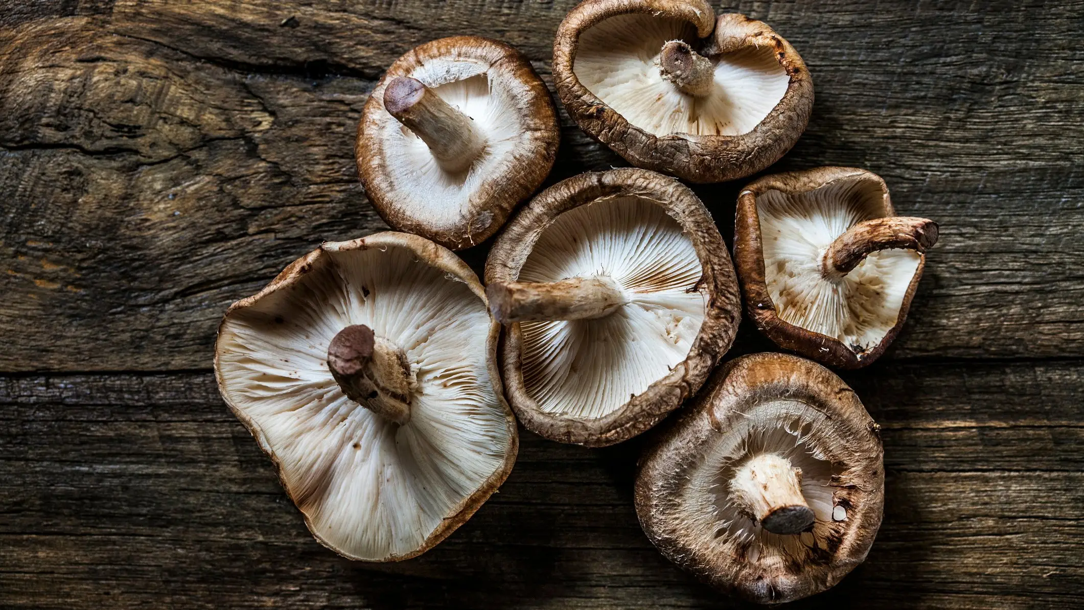 Enrique Díaz / 7cero/Getty Images
