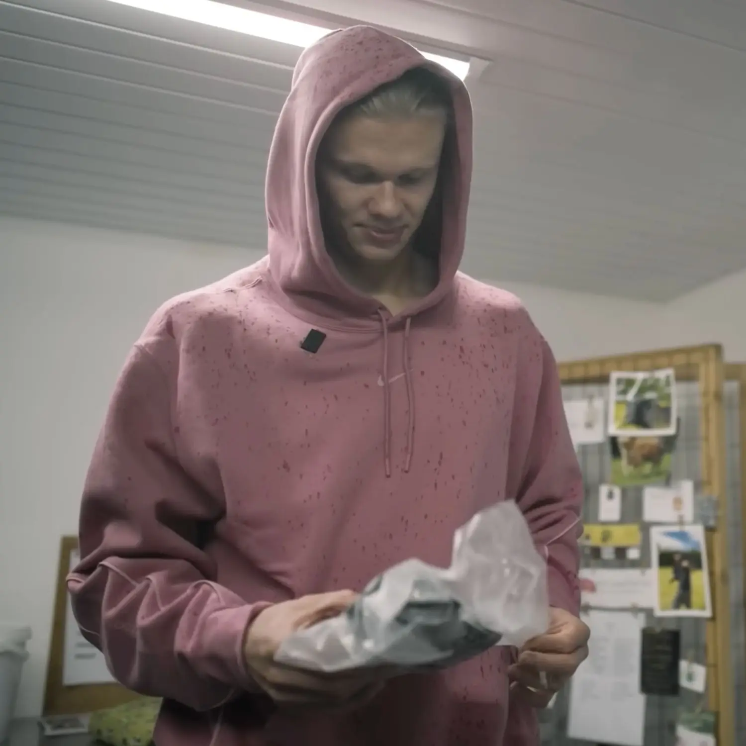 The Manchester City striker picks up his goods from a local farmer (Erling Haaland/YouTube)