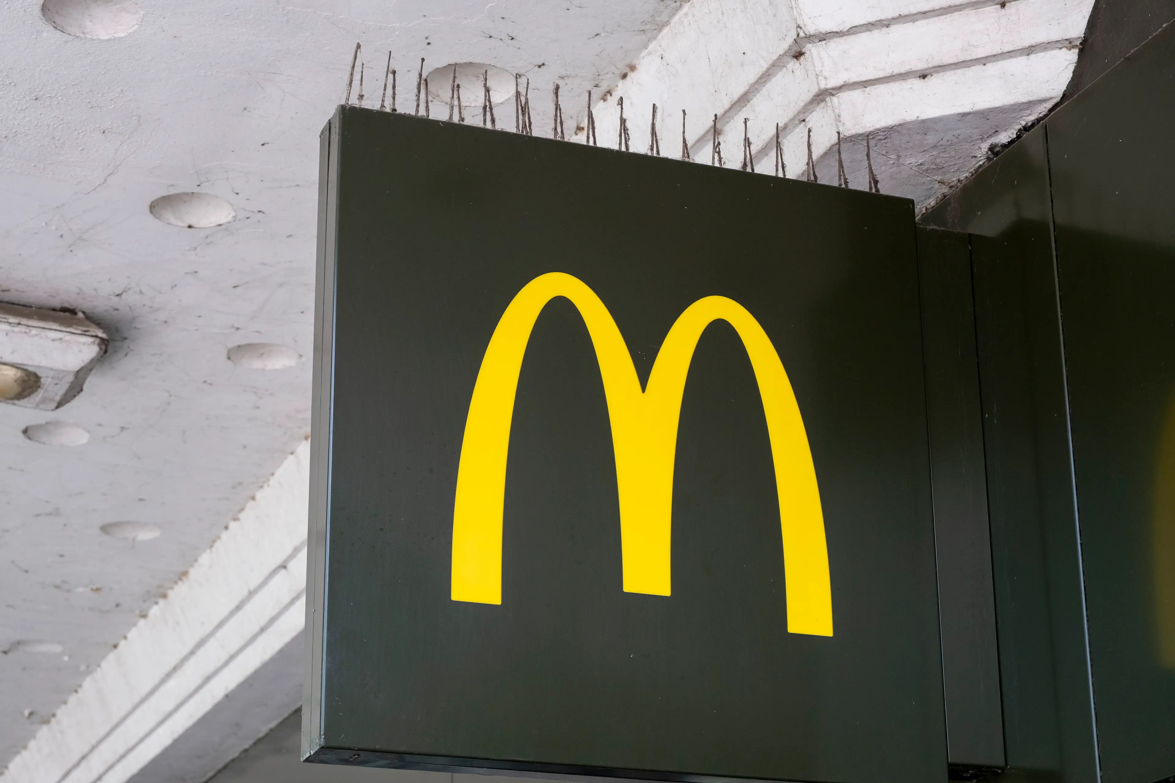 (Mike Kemp/In Pictures via Getty Images)