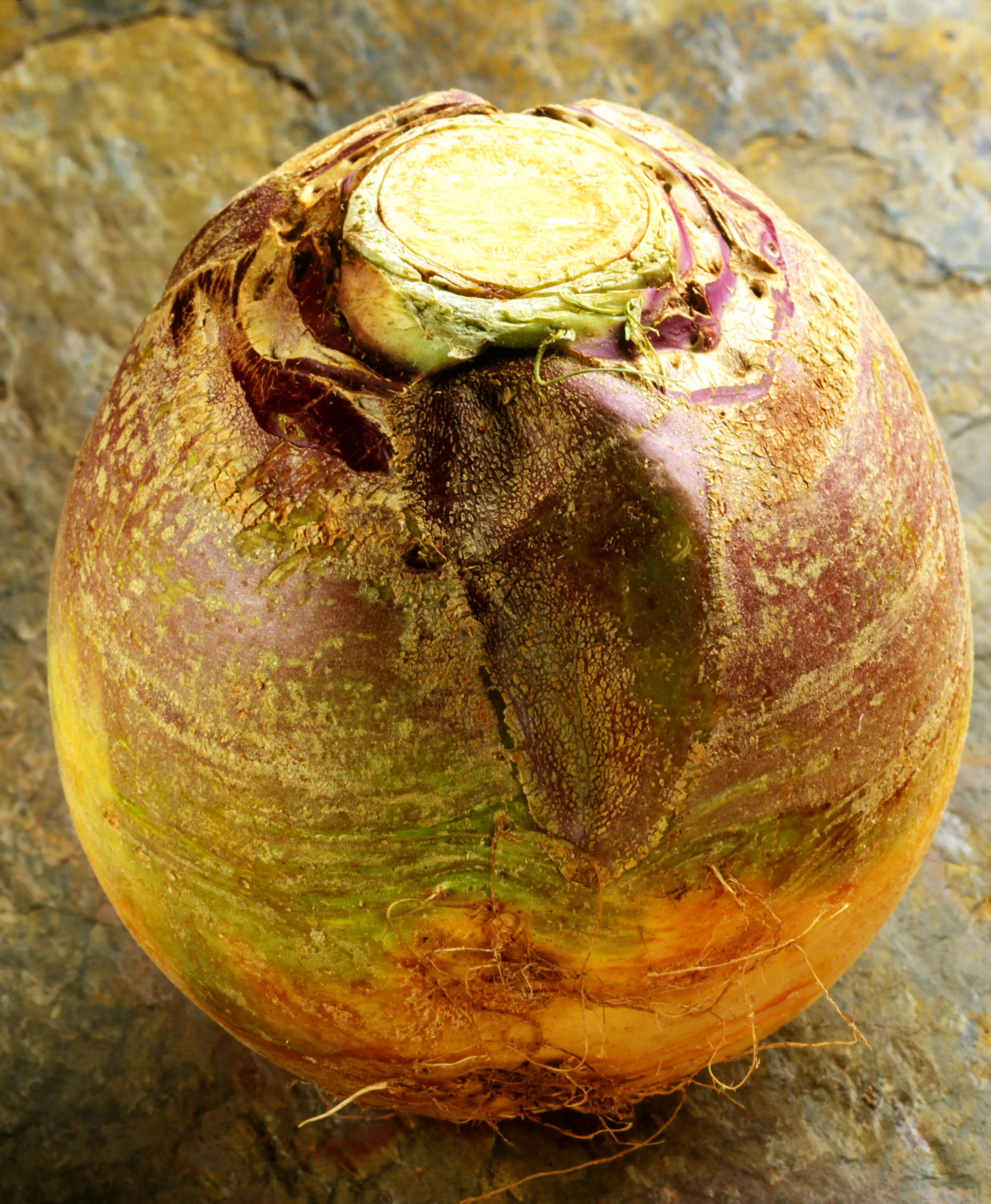 'Neeps' is the Scottish word for mashed up swede (Getty Stock Image)