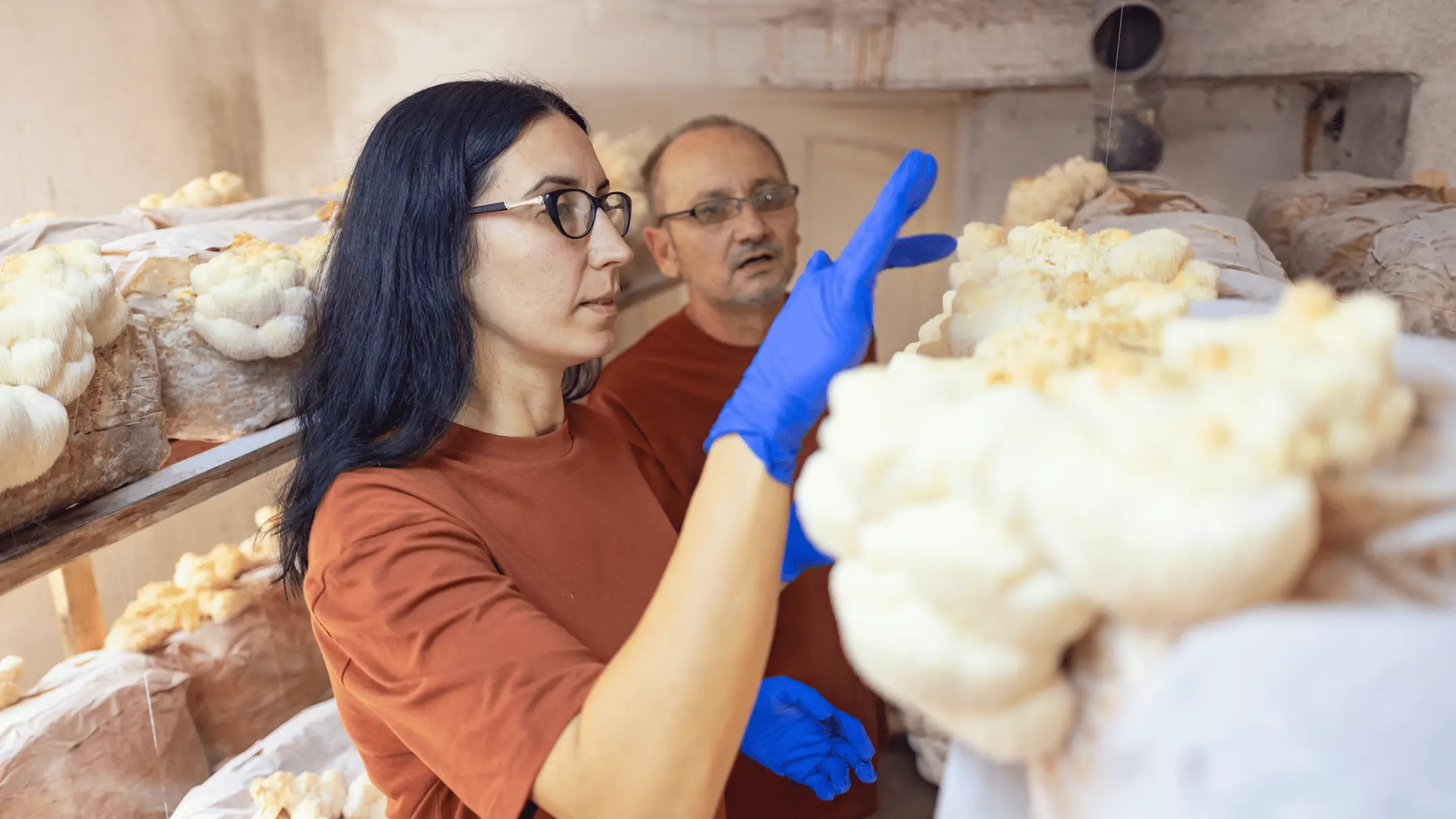 Dusan Stankovic/Getty Images