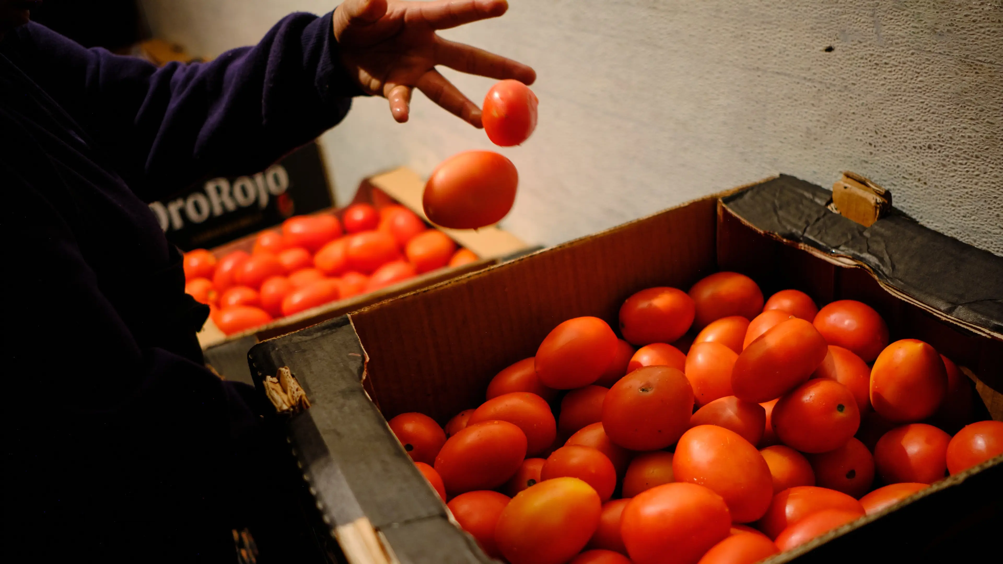 Bloomberg / Contributor/Getty Images