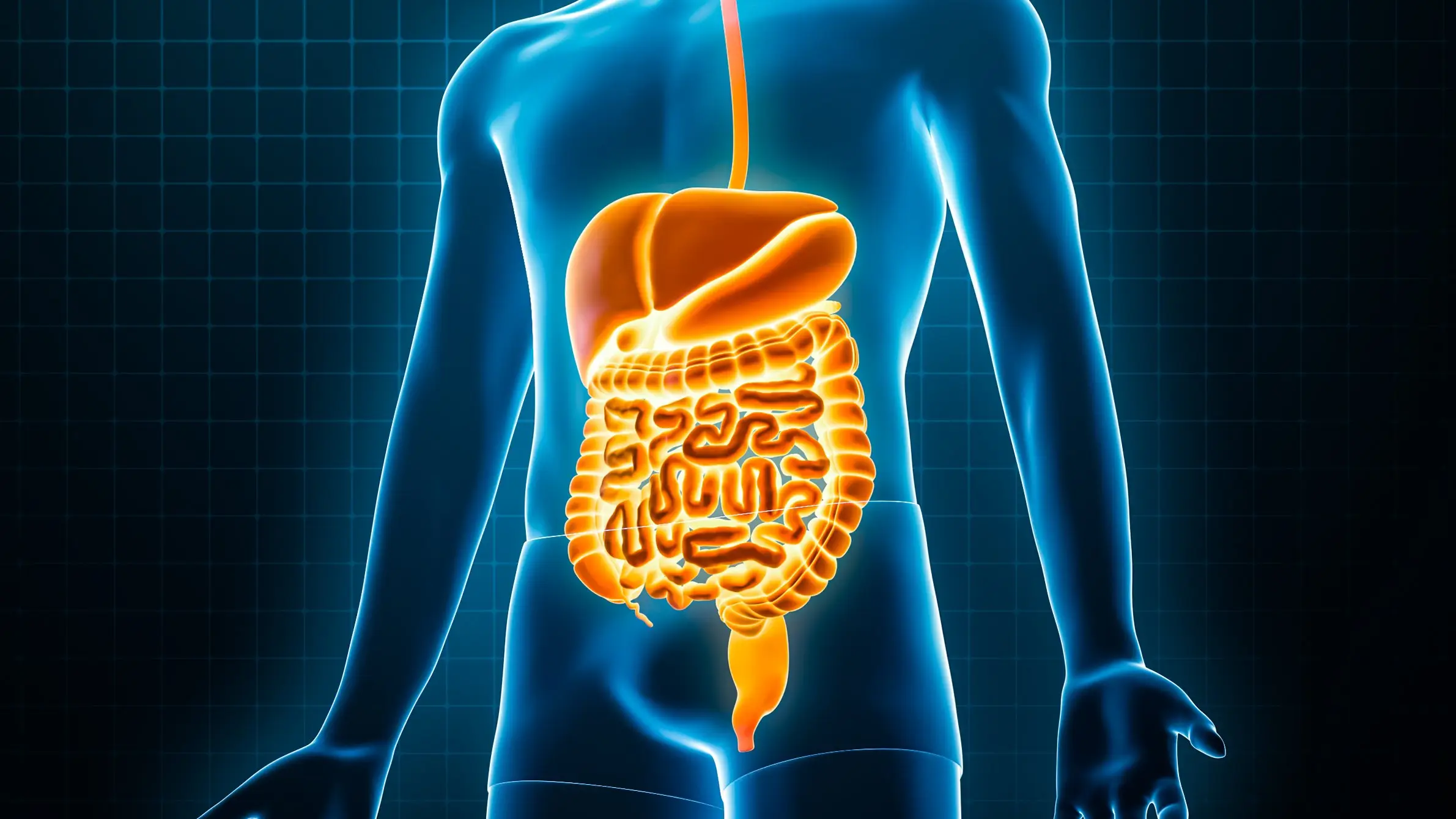 libre de droit/Getty Images