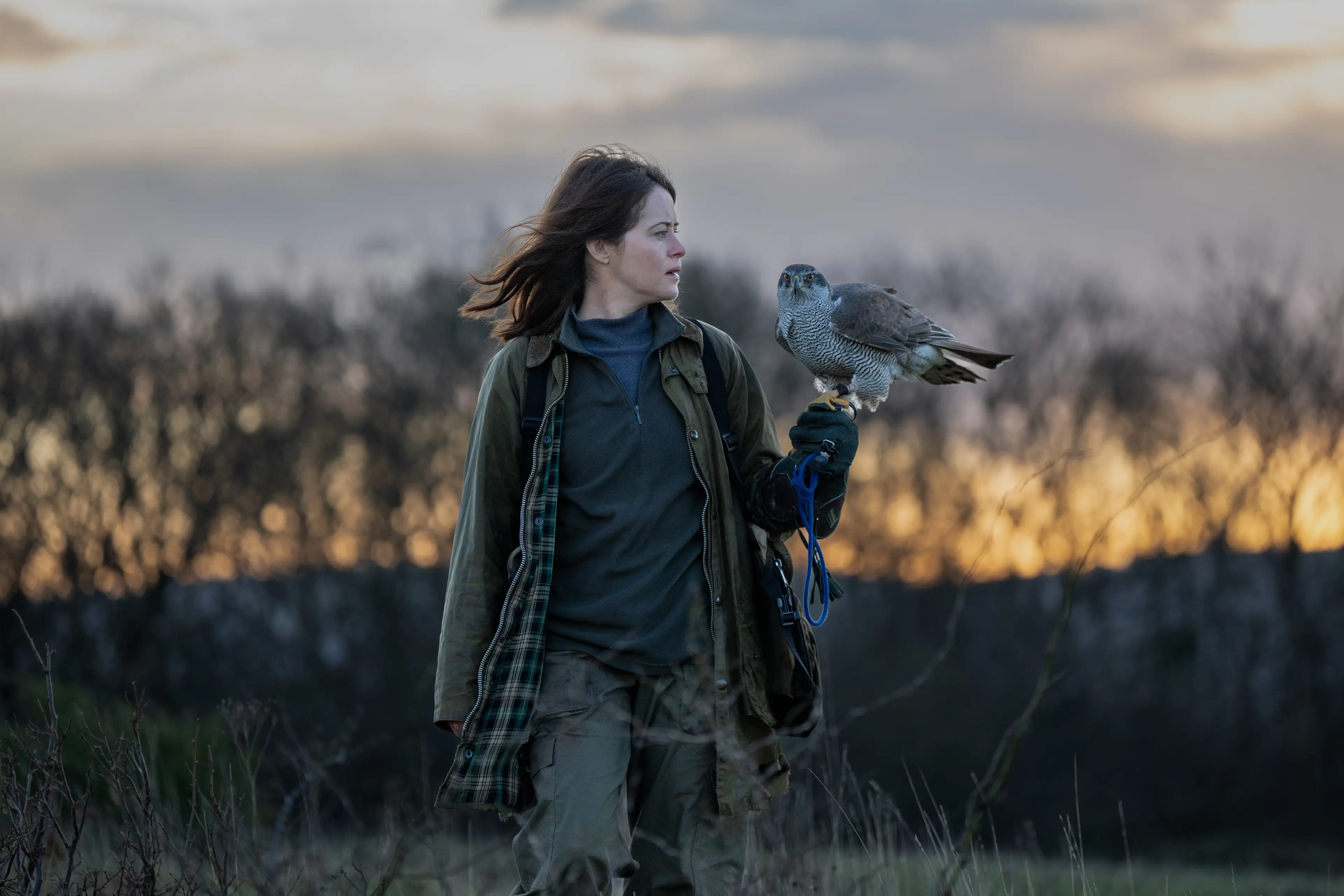 Foy's latest film, H for Hawk, is in cinemas now (Lionsgate)