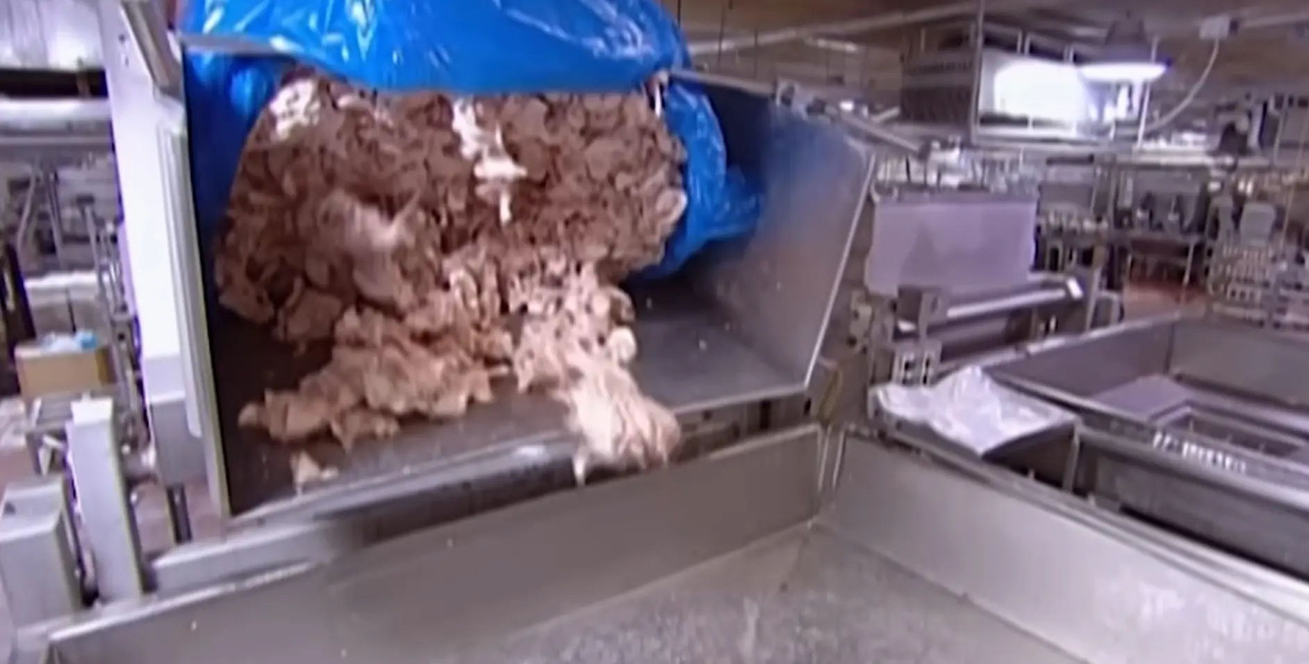 The meat trimmings at the start of the process (Discovery)