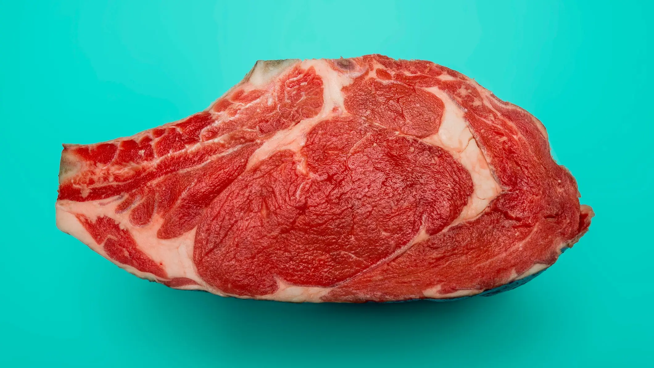 Javier Zayas Photography/Getty Images