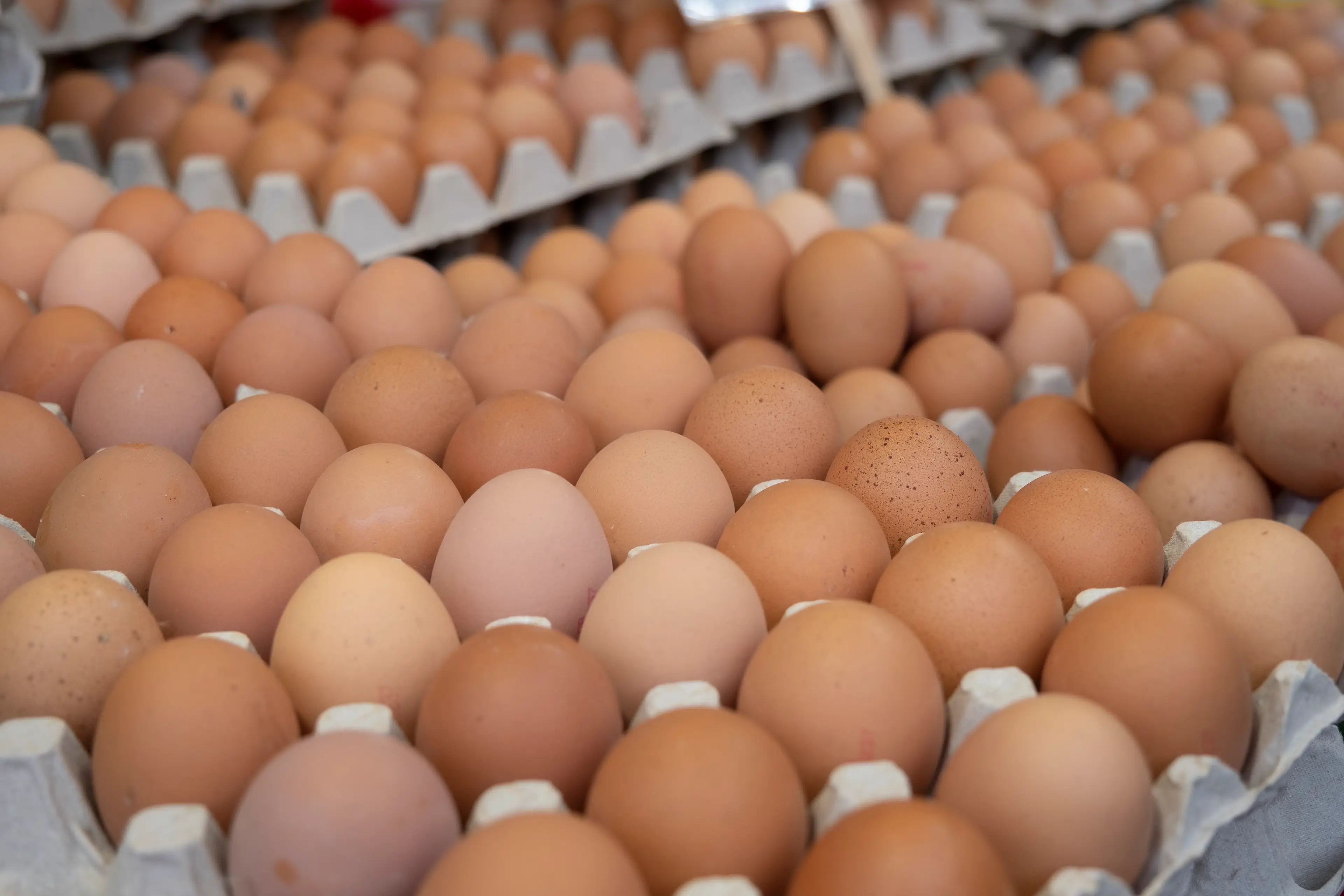 Non-UK eggs and imported chicken have been linked to a Salmonella outbreak (Mike Kemp/In Pictures via Getty Images)