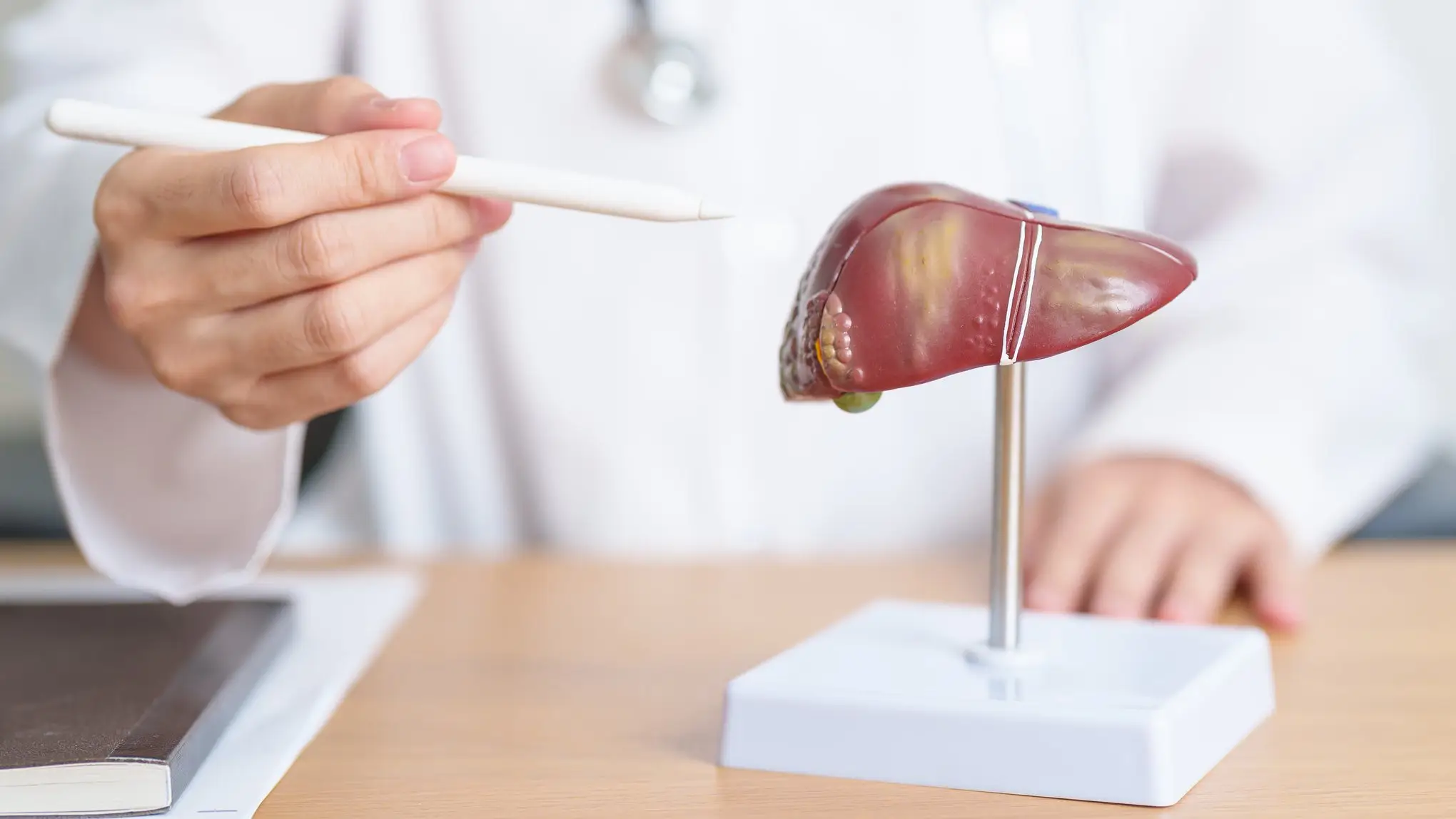 How long the liver takes to recover when you do Dry January