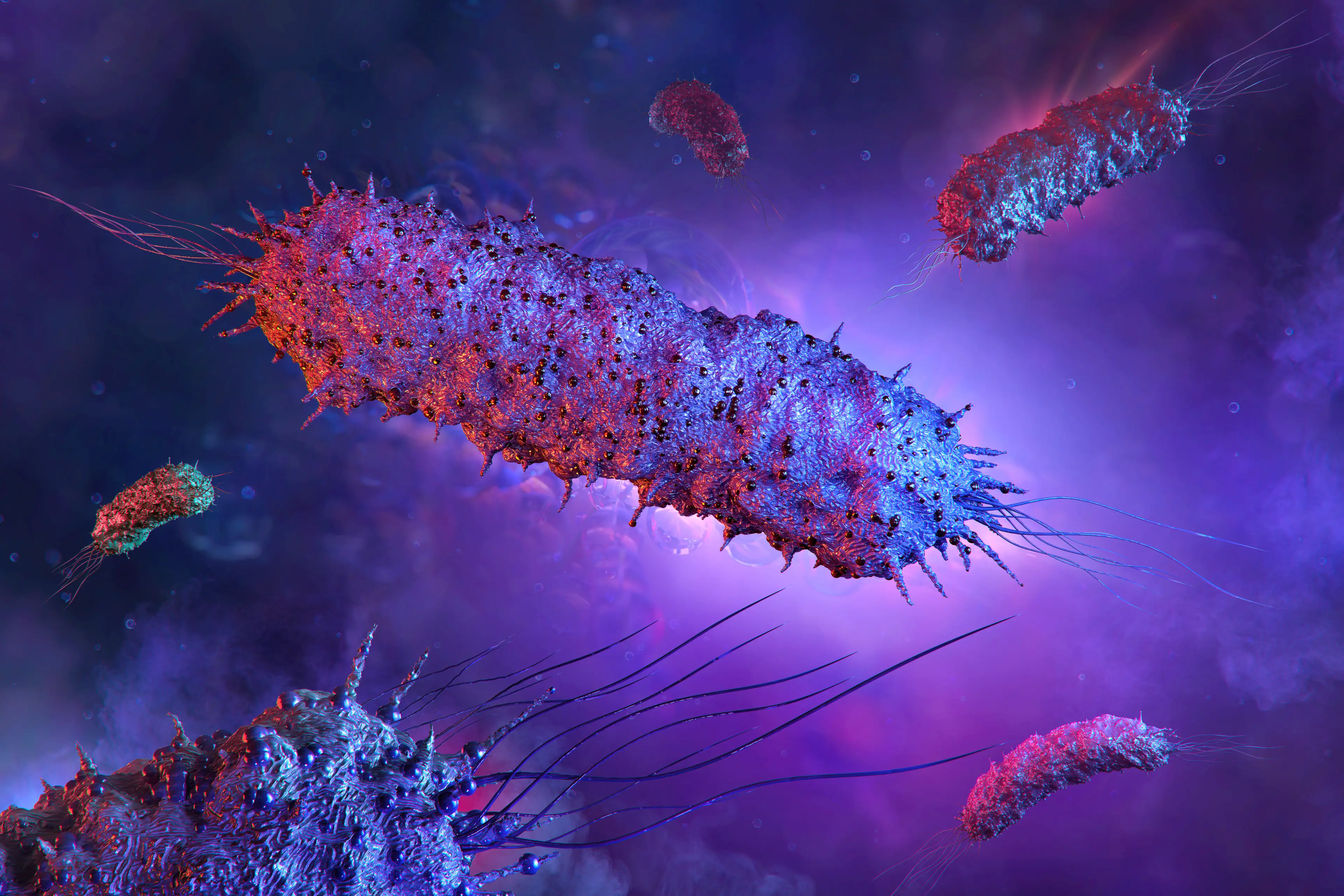 Experts have explored the link between Salmonella and nanoplastics (Getty Stock Image)