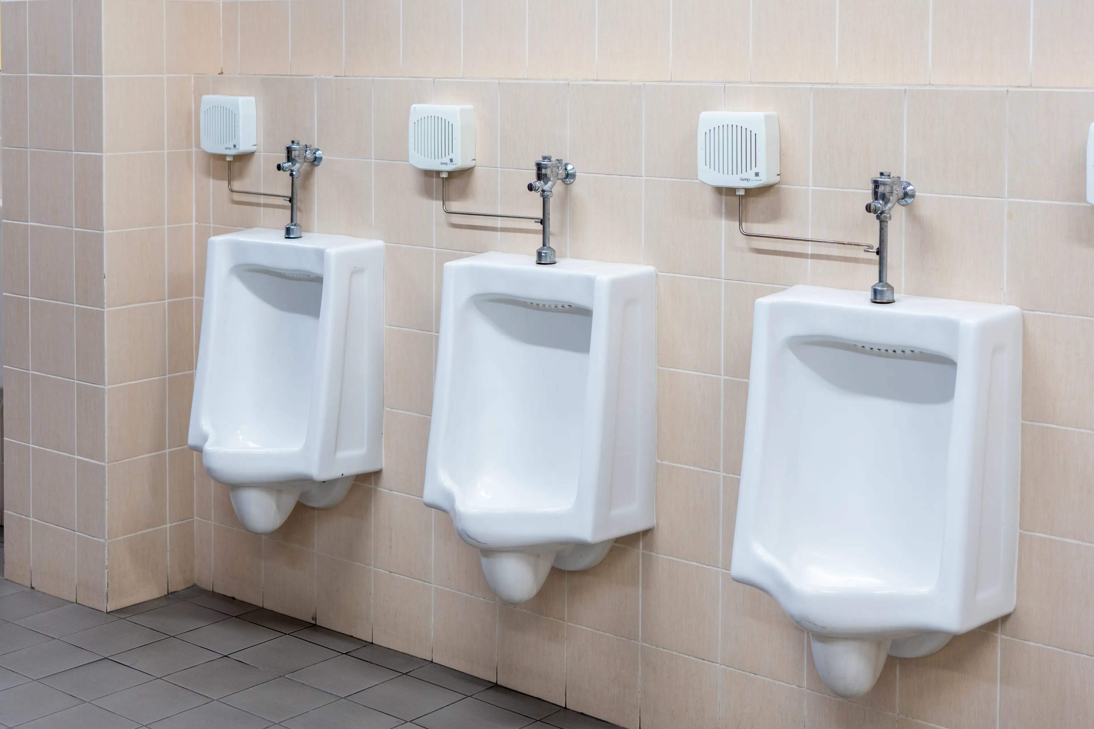 The art dealer claimed he struggles to use public restrooms (Getty Stock Image)