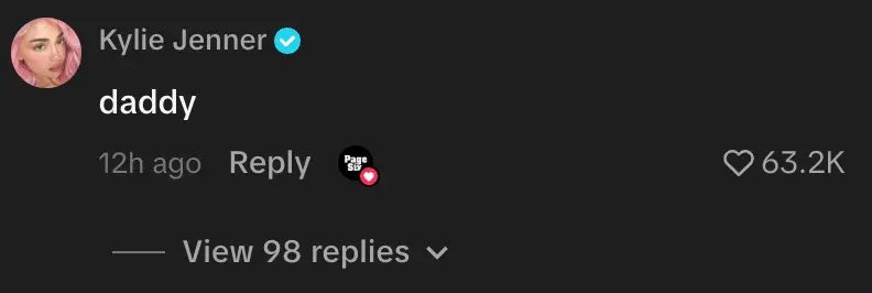 Jenner's playful comment sparked a debate amongst fans (TikTok/@kyliejenner)