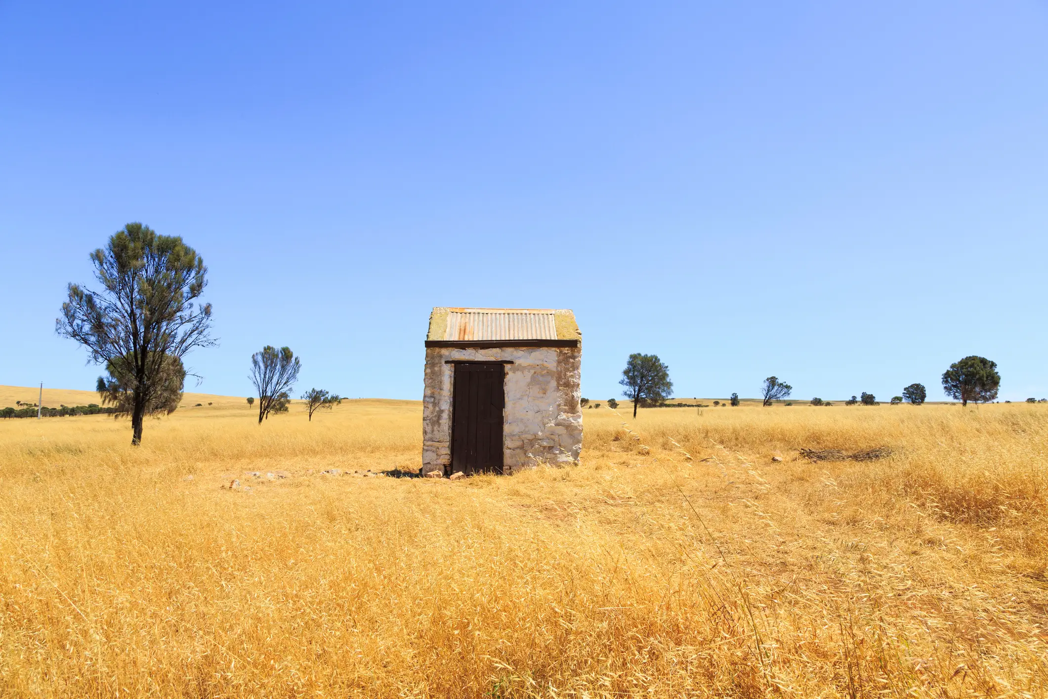 An outback toilet (Getty Stock Image)