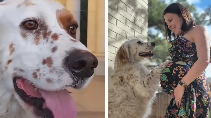 FOX31 KDVR-TV / Facebook/Nicole Ellingson