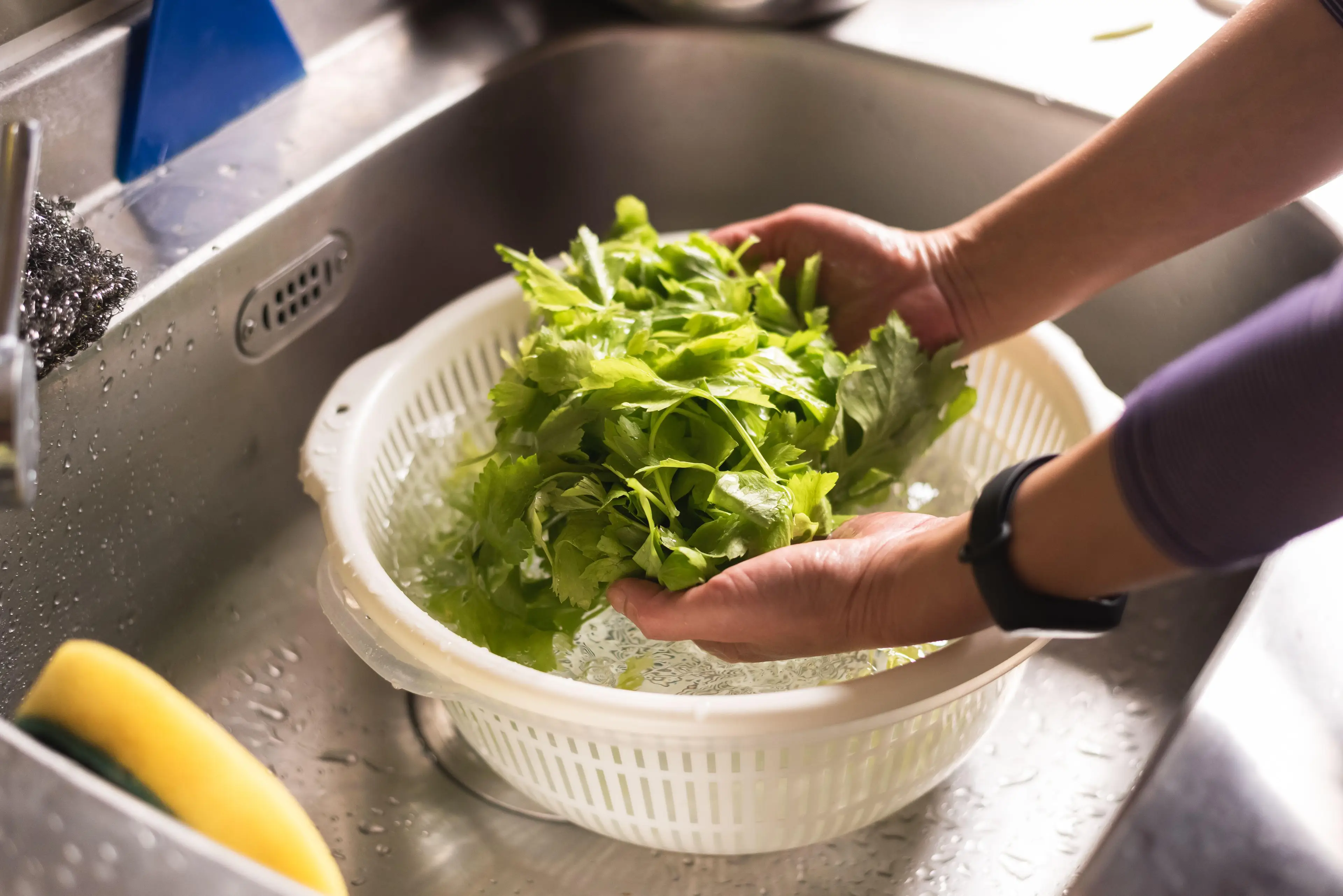 You might want to make sure you’re washing everything thoroughly.