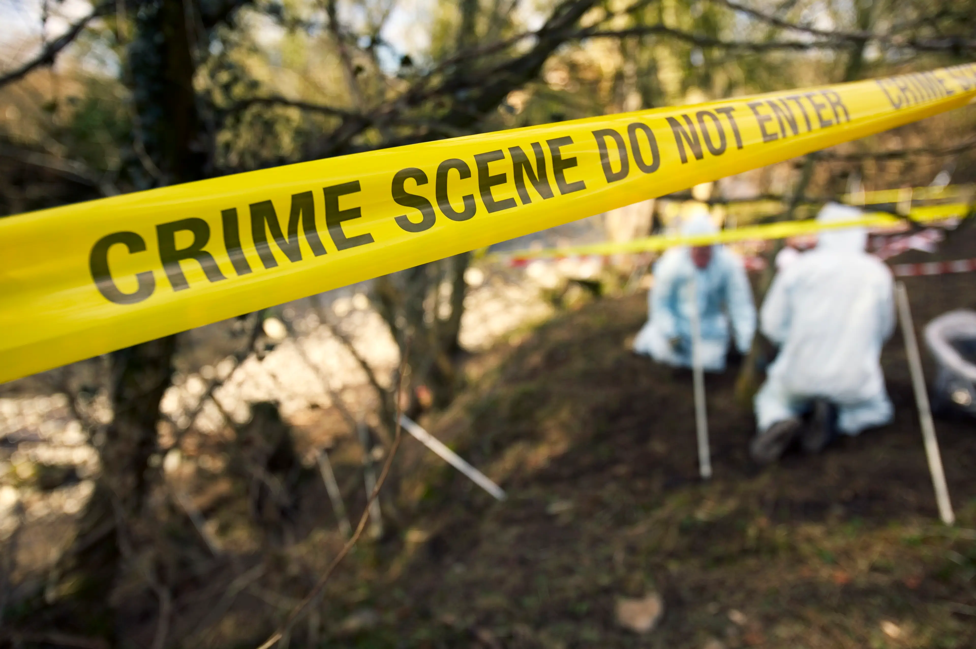 Daynes says that when a woman is targeted, viewers can imaginatively 'test-run' vulnerability (Getty Stock Images)