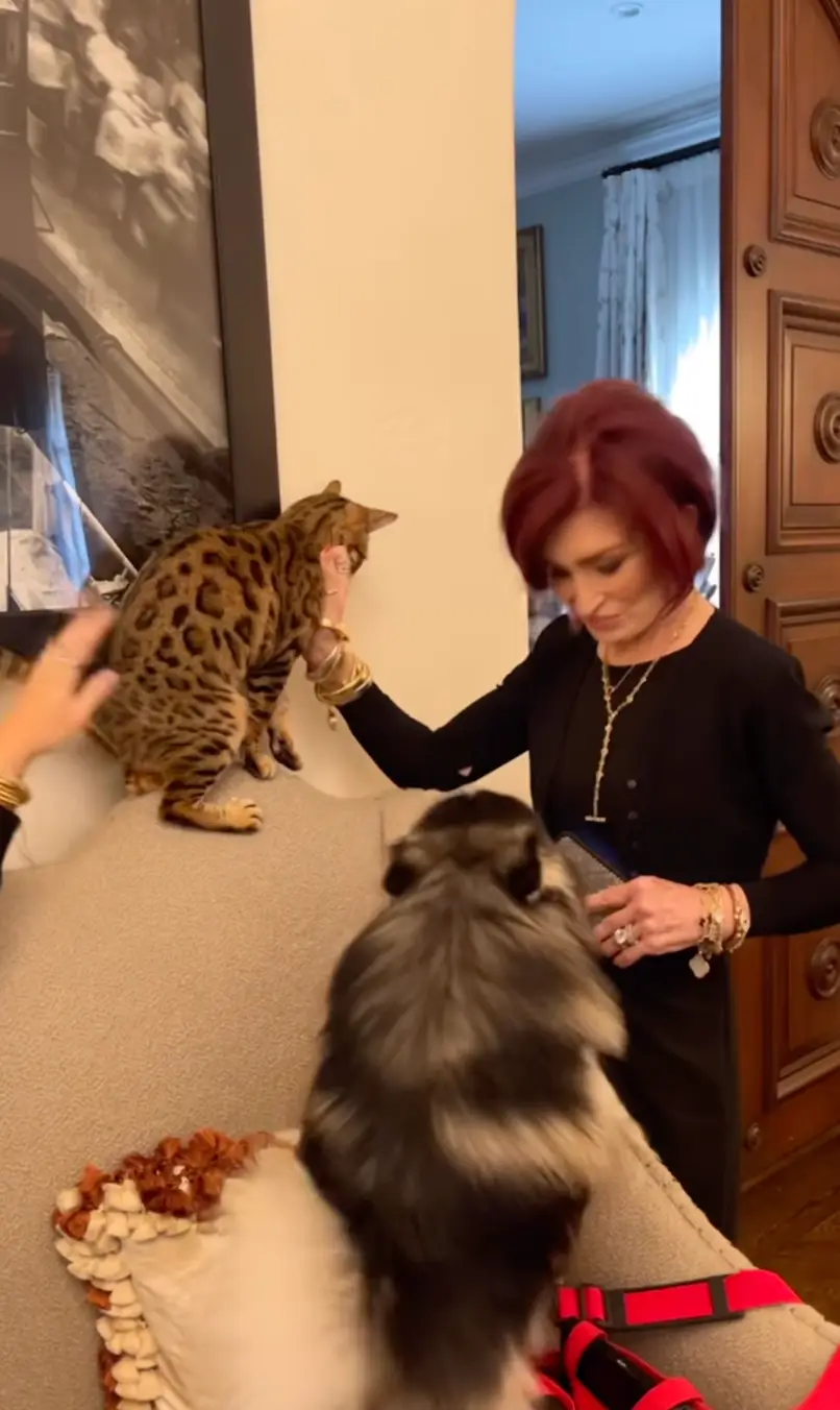 The TV personality has admitted to using weight loss jabs.