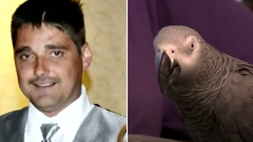 Woman convicted of killing her husband after parrot repeated 'last words’