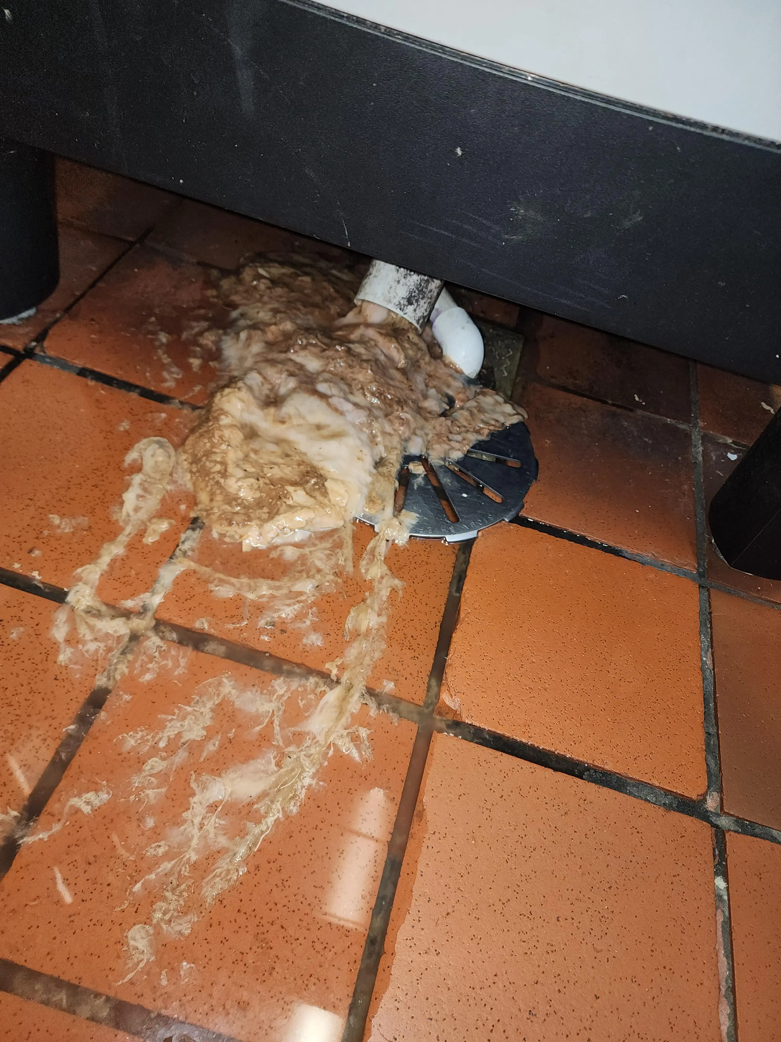 (Reddit/geeisntthree)